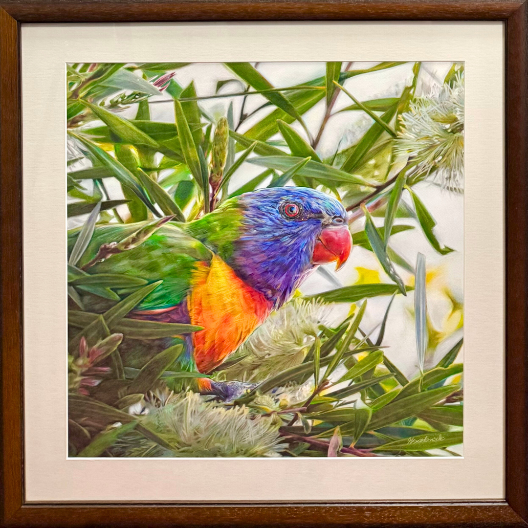 'Of Rainbow Persuasion' by Harry Sanbrook