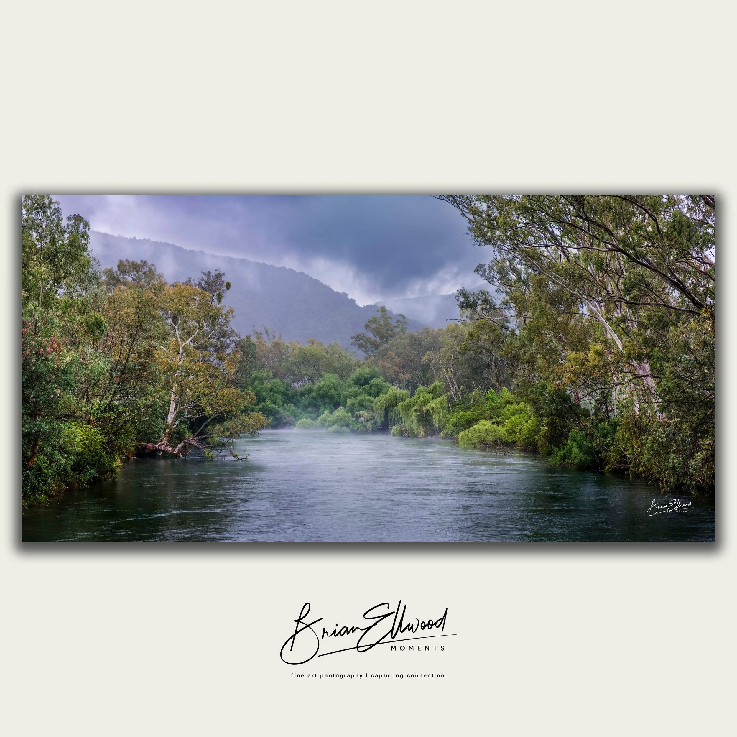 'Rain on the River' by Brian Ellwood