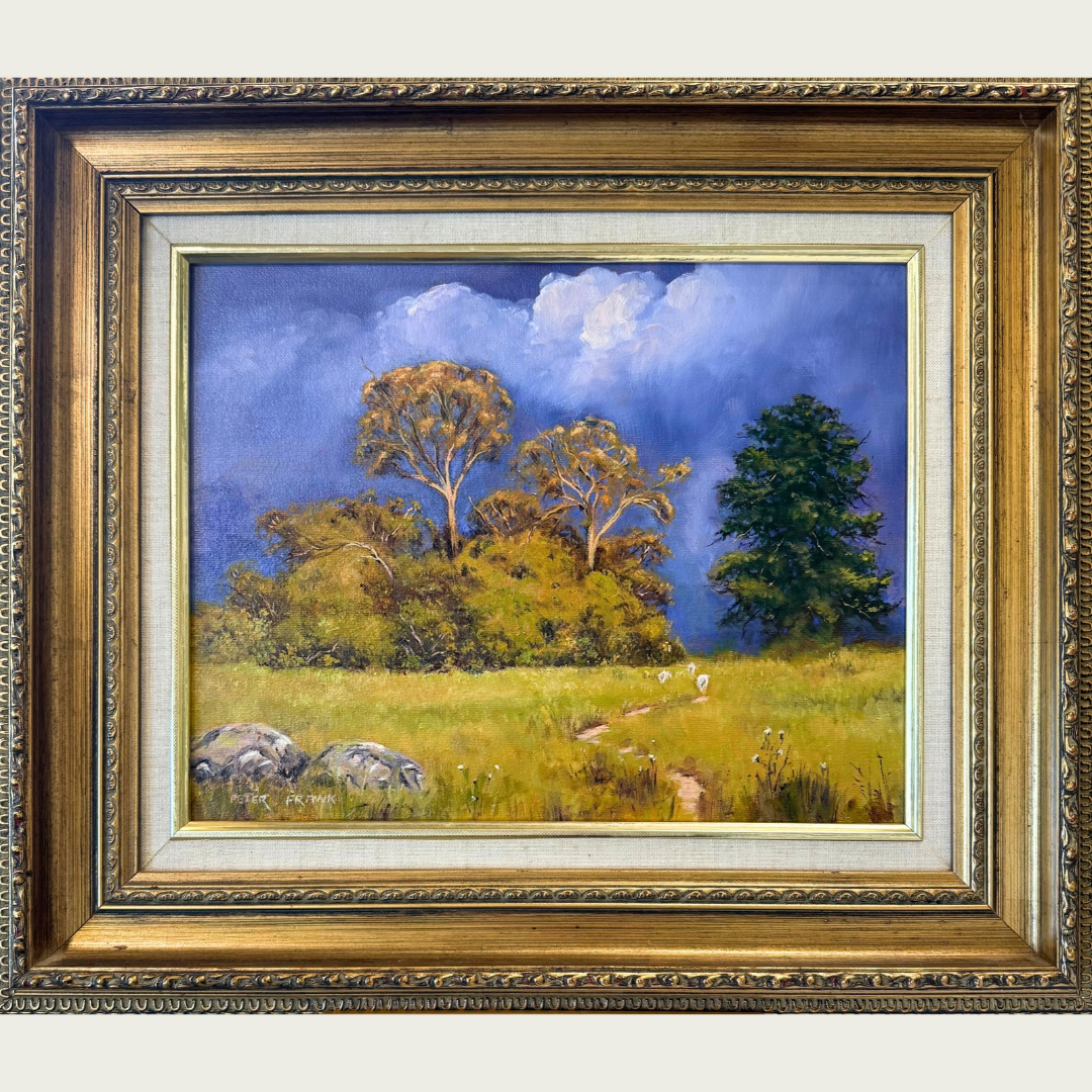 'Approaching Storm near Tooma' by Peter E Frank