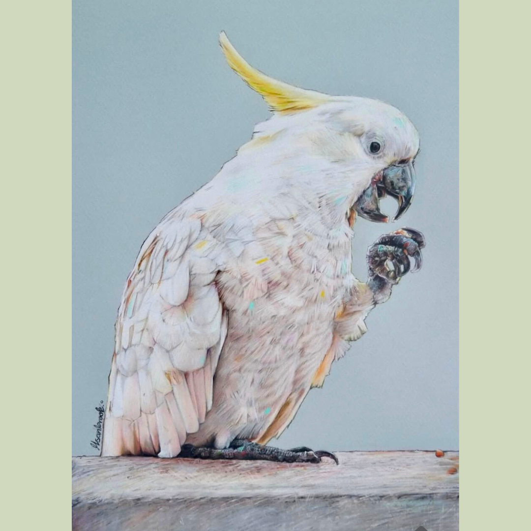 A digital painting of a cockatoo with a human-like hand holding a small object, set against a plain background.