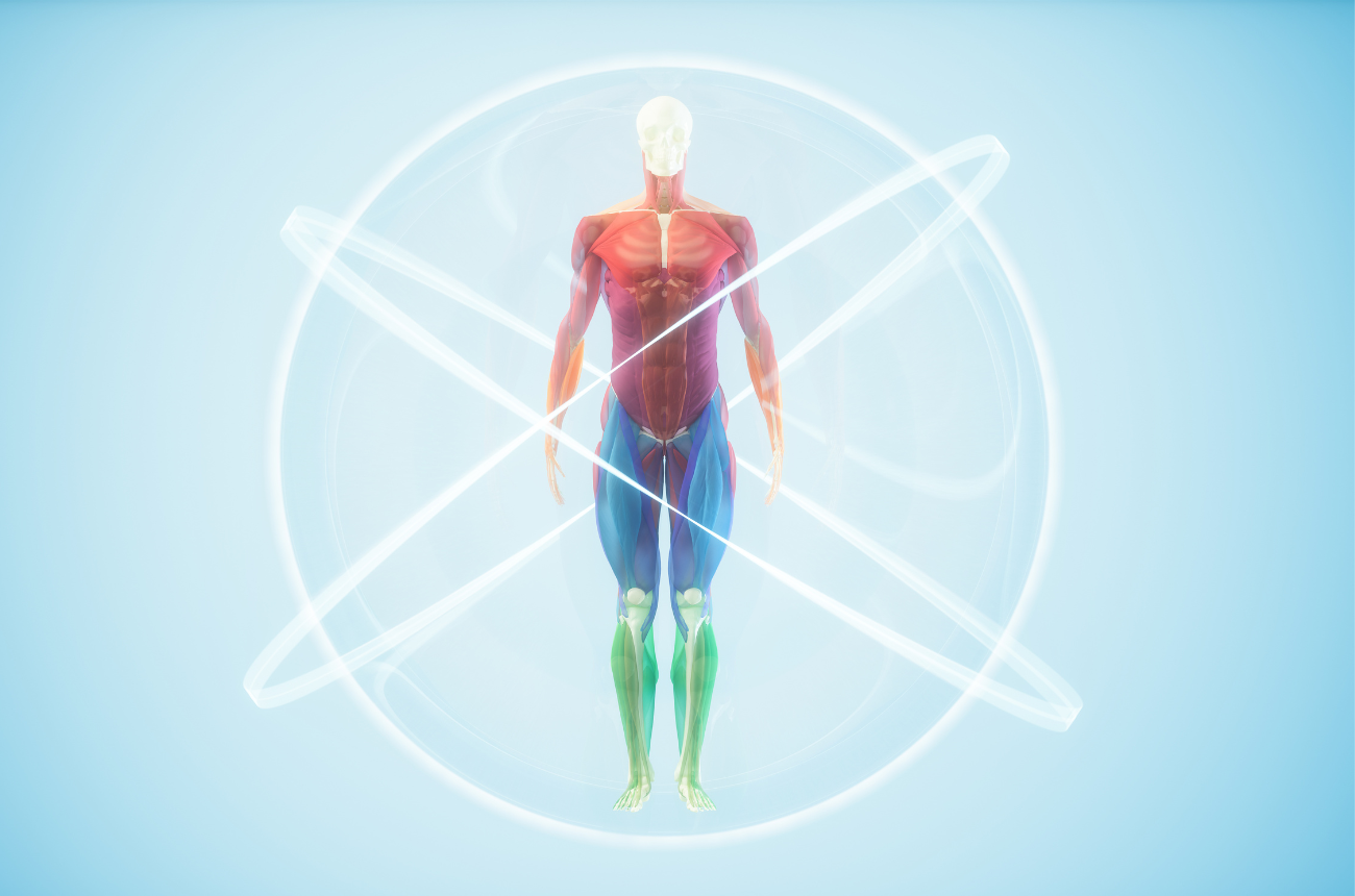 Quelles sont les 3 filières énergétiques ?