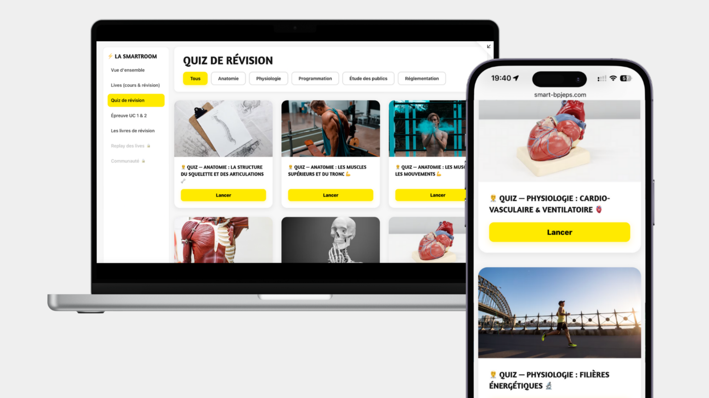 quiz BPJEPS plaque motrice anatomie, système neuromusculaire BPJEPS, types de fibres musculaires I IIa IIx, adaptation nerveuse musculation, fatigue nerveuse entraînement, récupération nerveuse BPJEPS, physiologie de la force BPJEPS HM