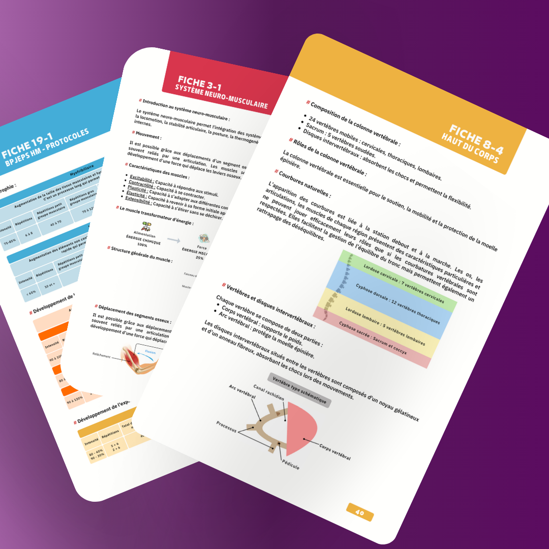 Fiches de révision BPJEPS physiologie