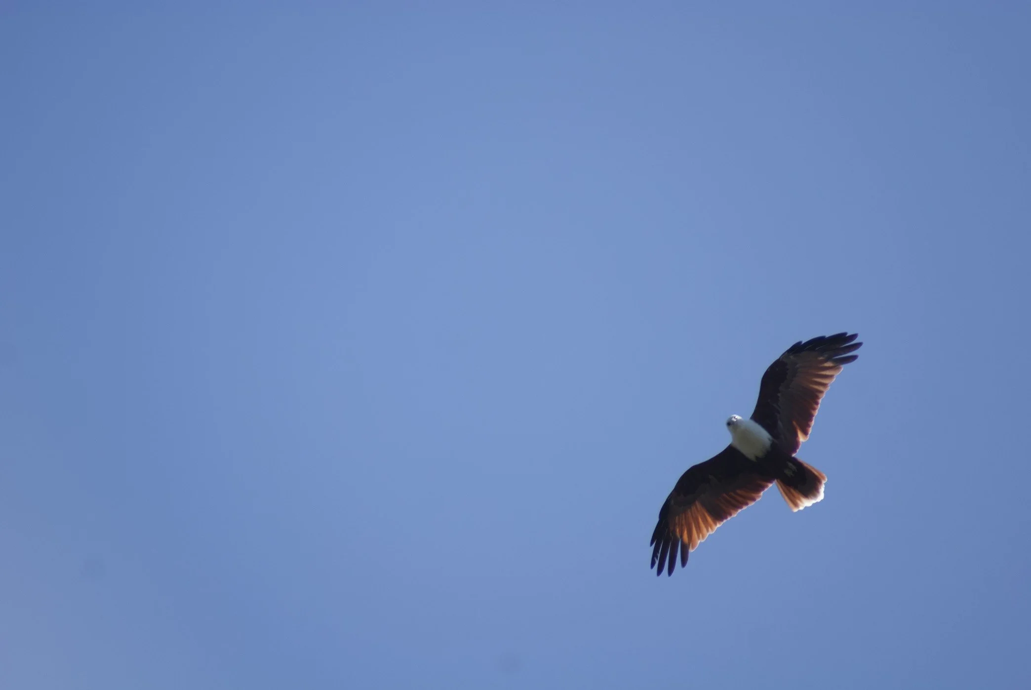 DSC00765.jpg
