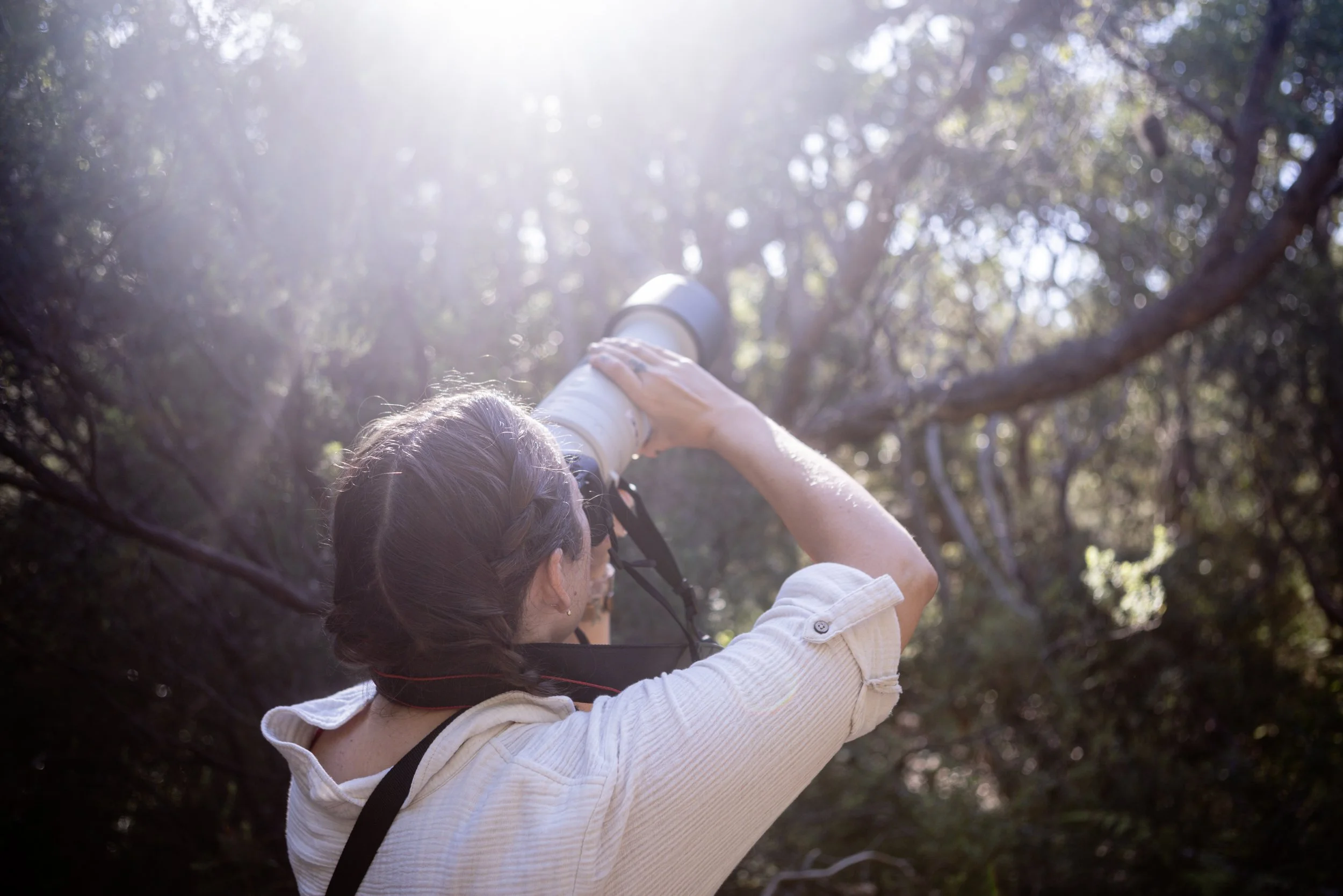 Person looking through a telescope in a forested area with sunlight filtering through the trees.