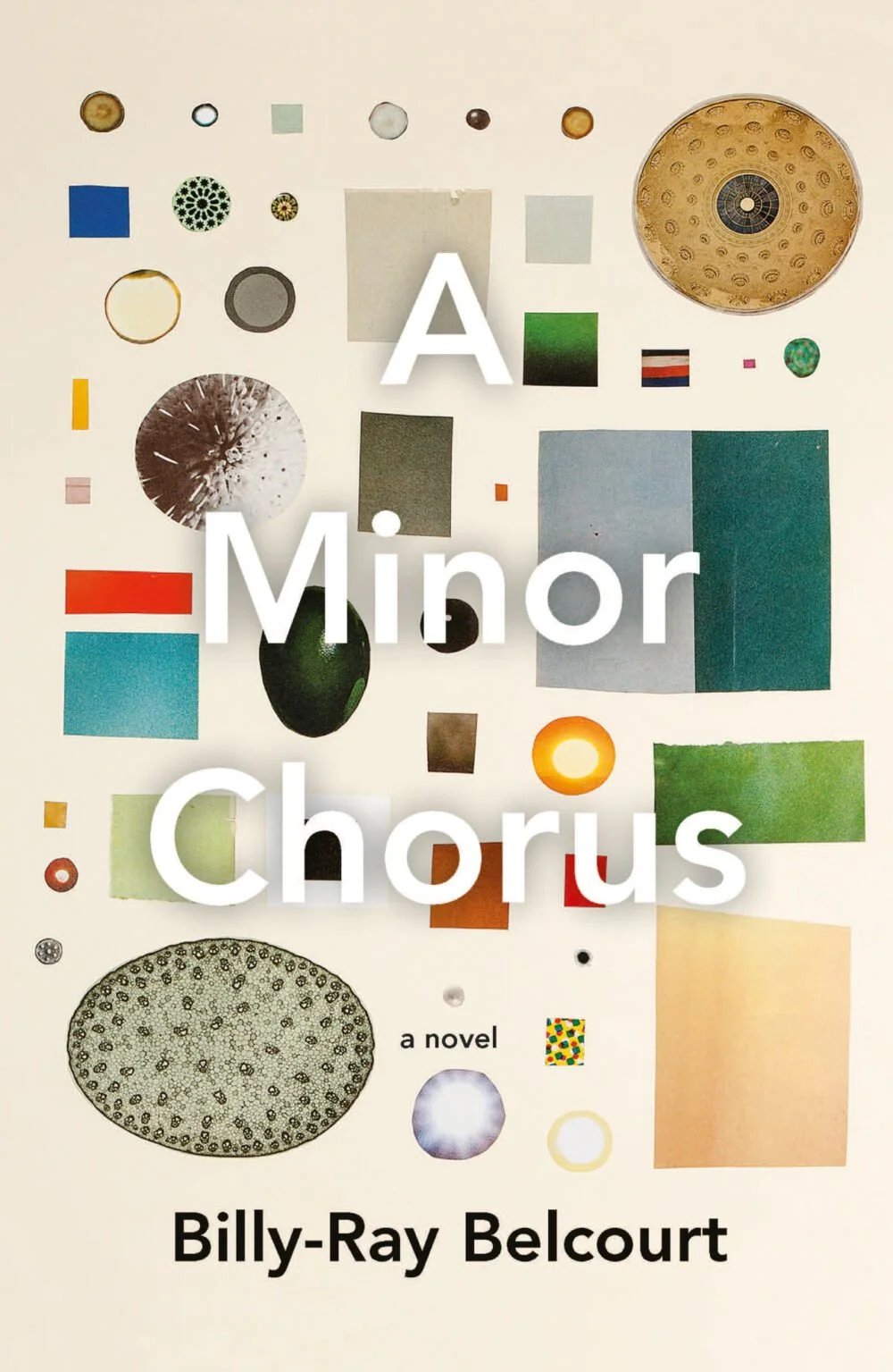 The follow-up memoir by acclaimed Canadian author, Billy-Ray Belcourt. Designed with UQP.