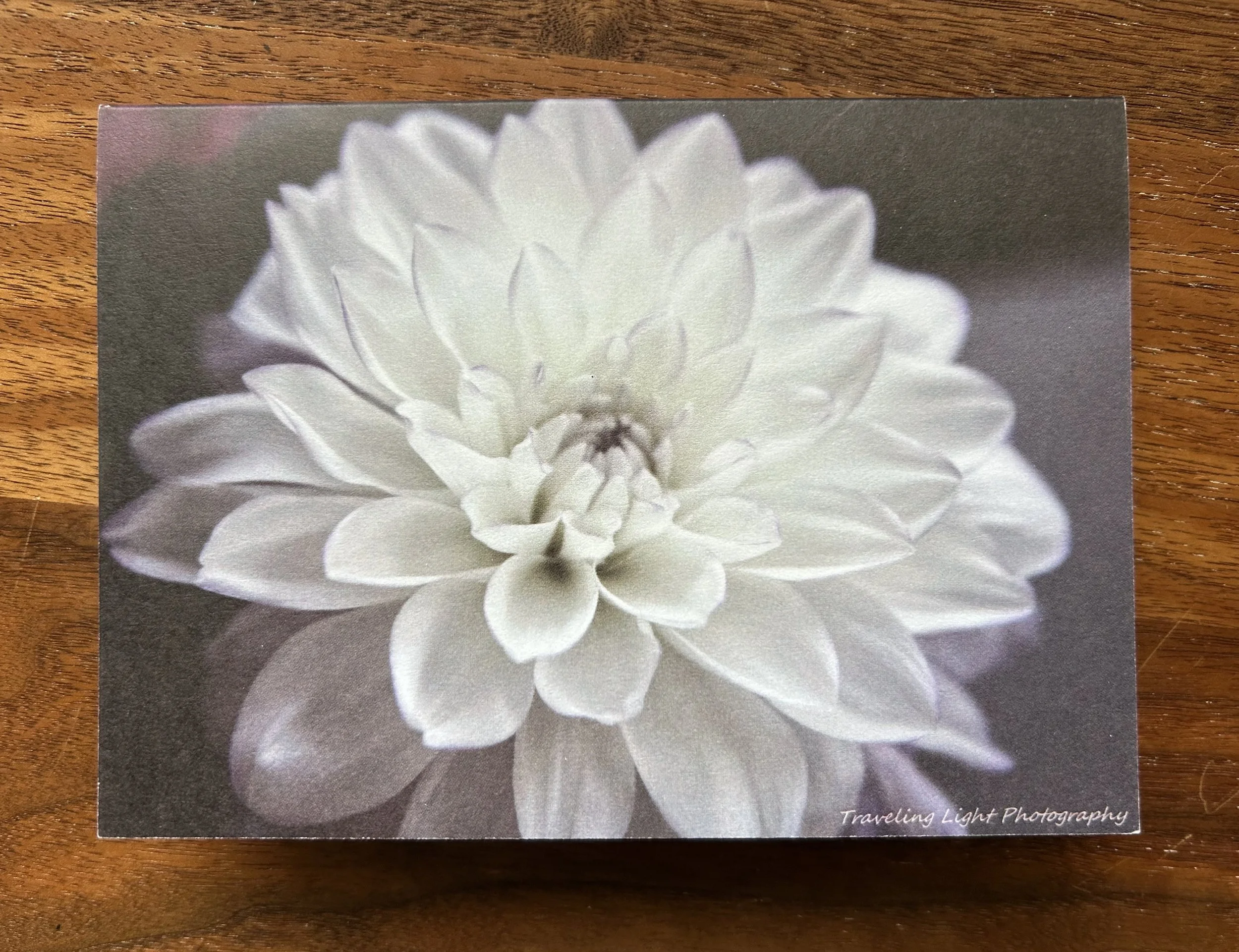Dahlia Card (4 pack)