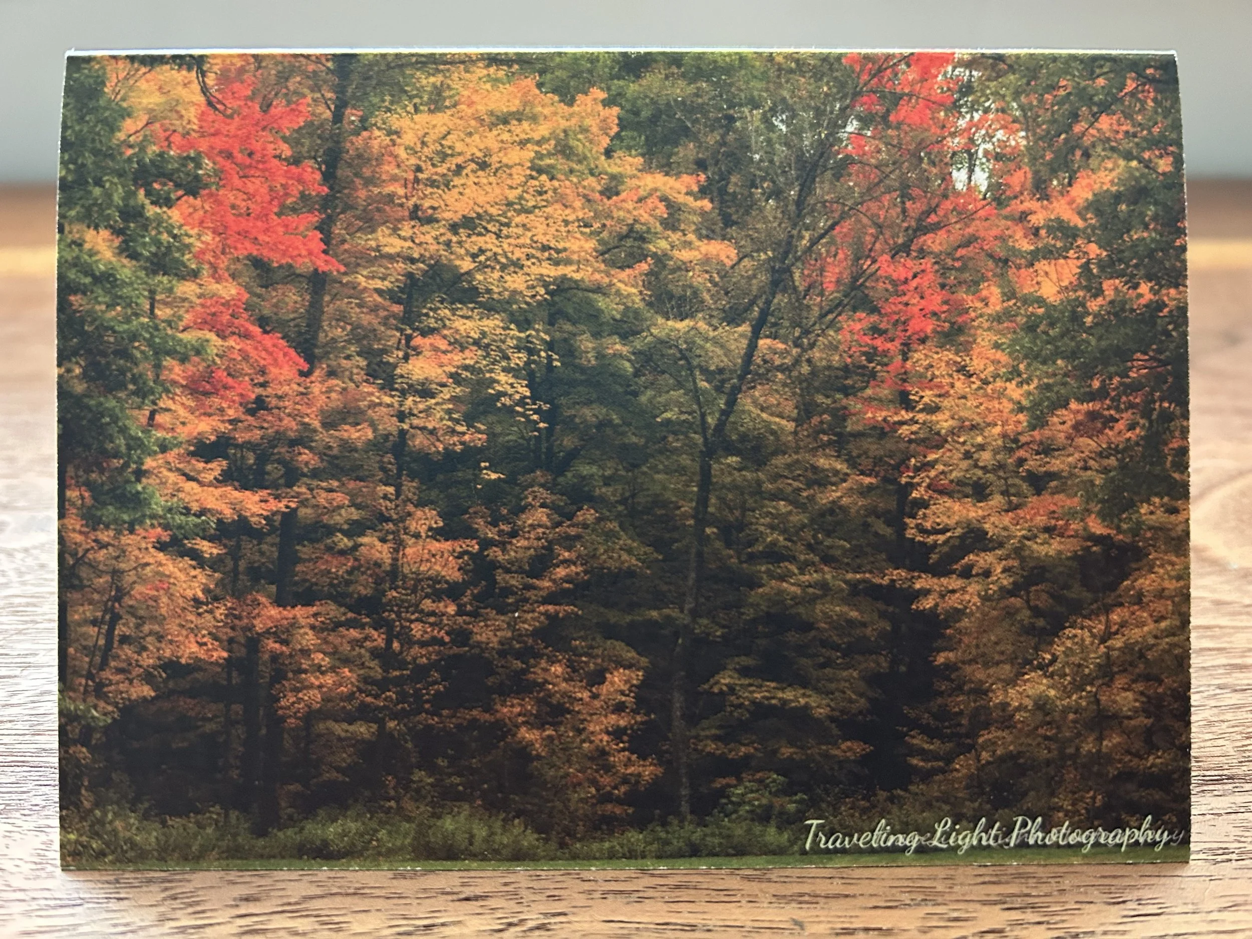 Rich Fall Colors Cards (4 pack)