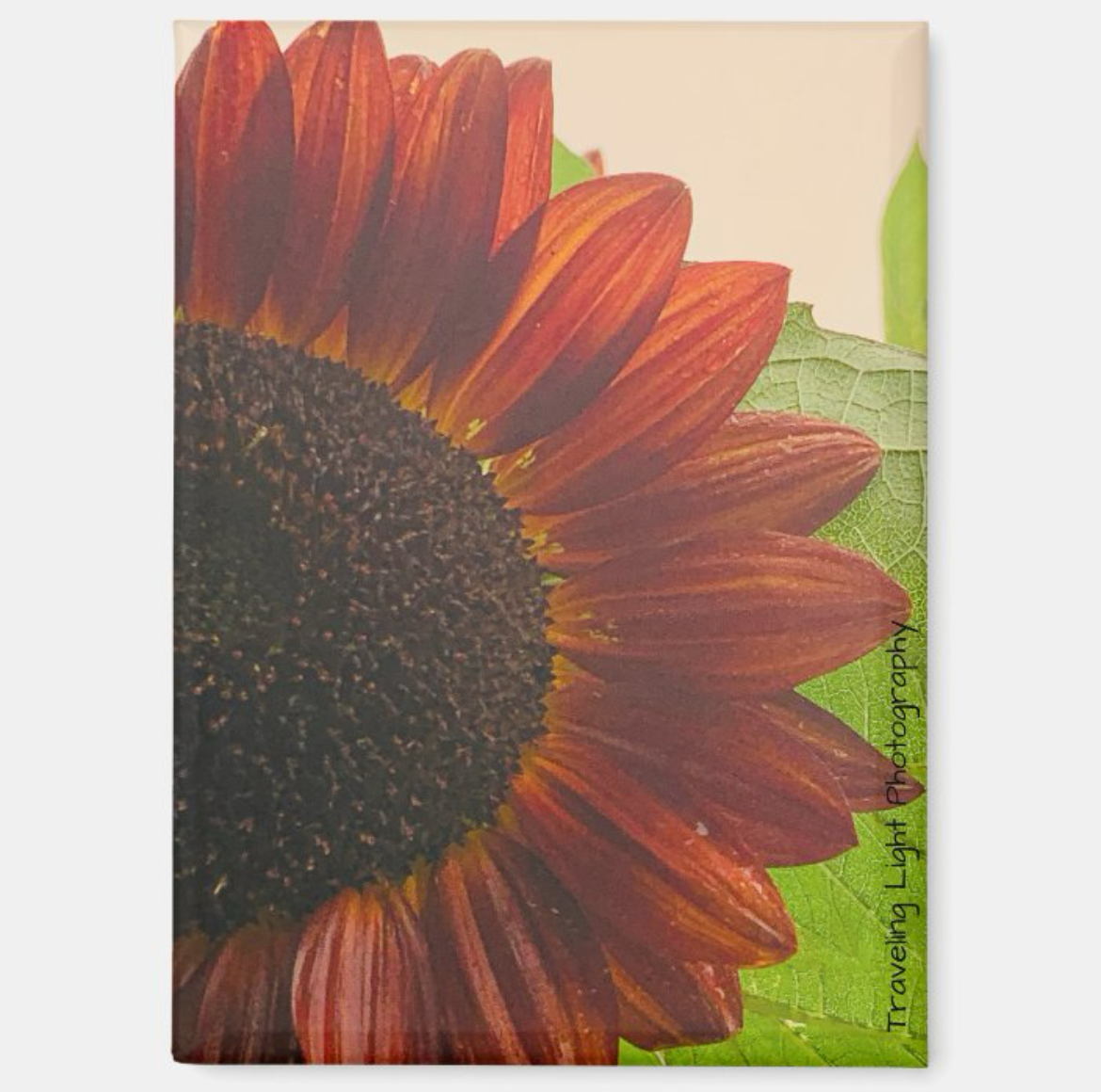 Red Sunflower Magnet