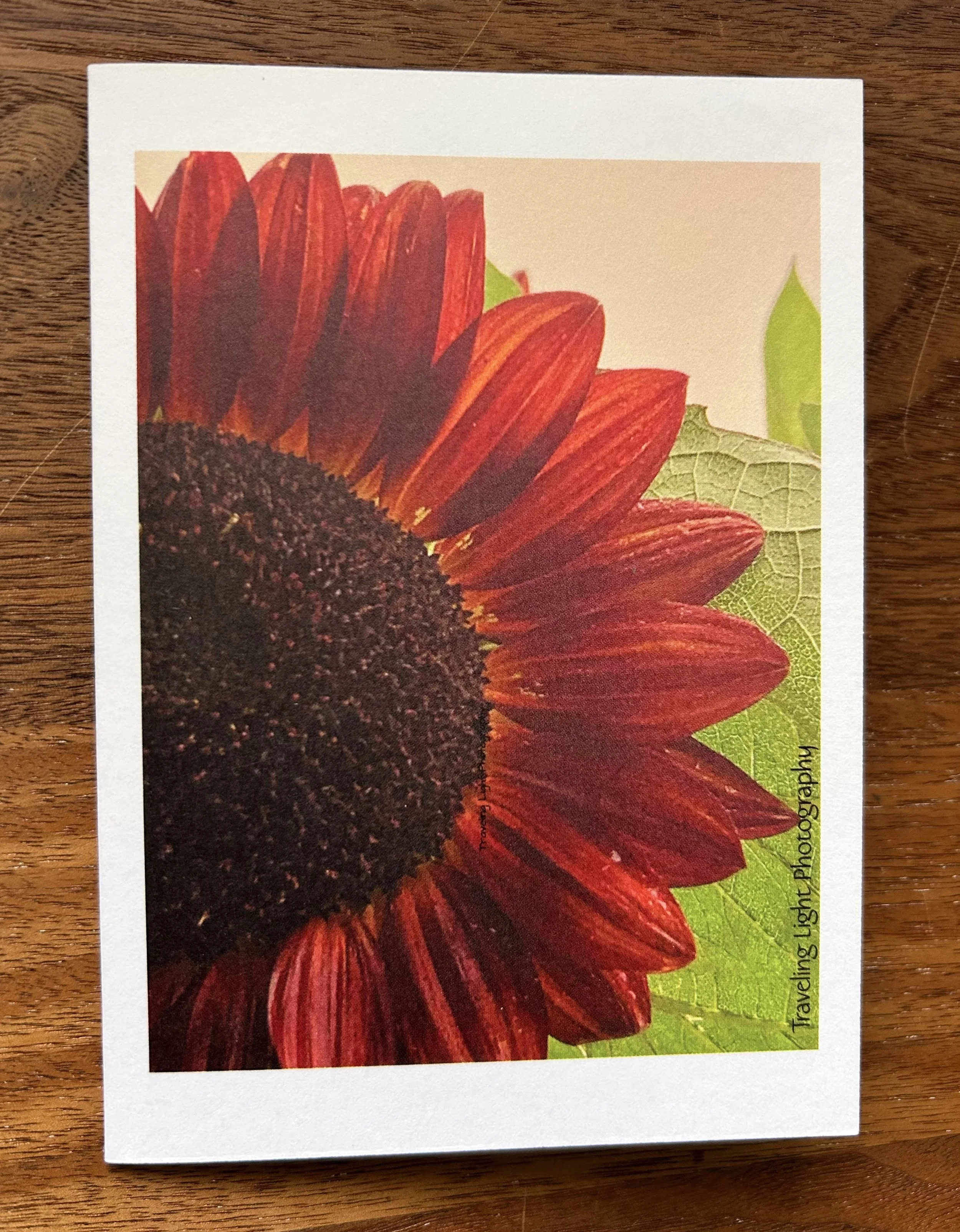 Red Sunflower Card (4 pack)