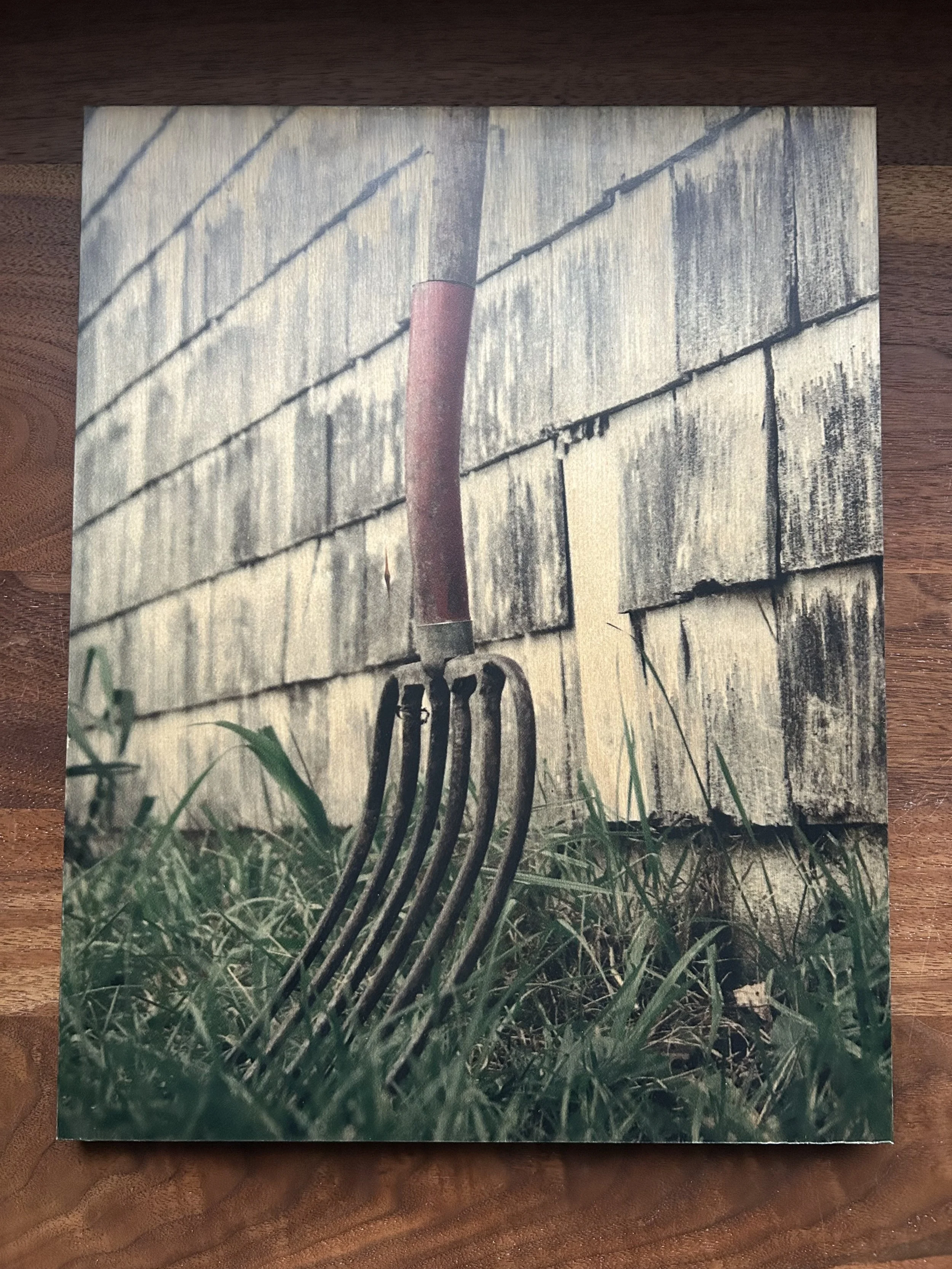 Pitch Fork Wood Print