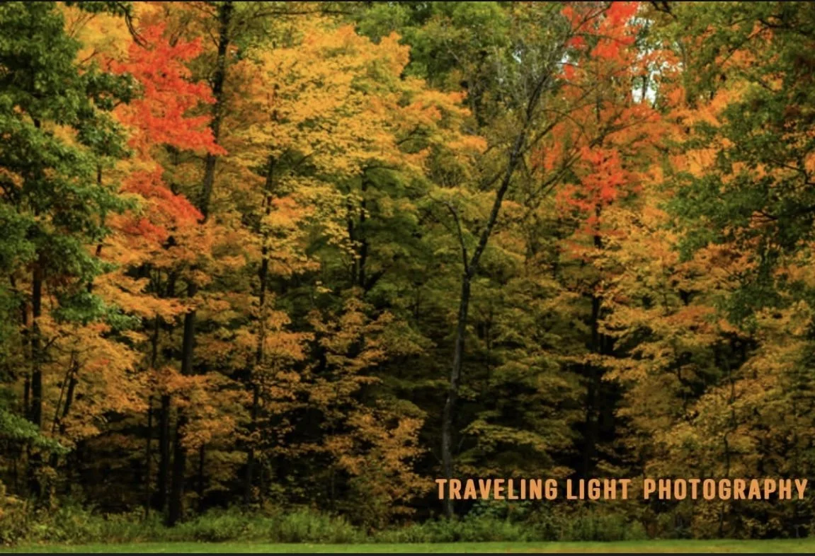 Rich Fall Colors Canvas Print