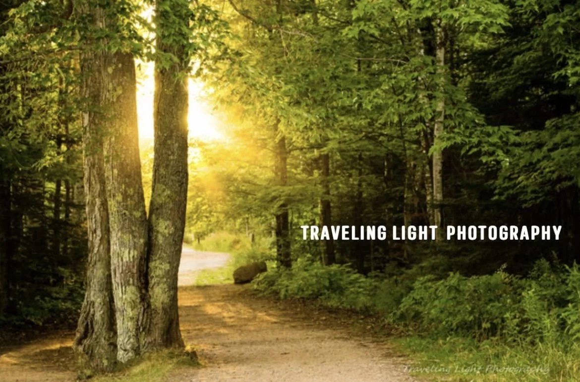 Golden Hour Canvas Print