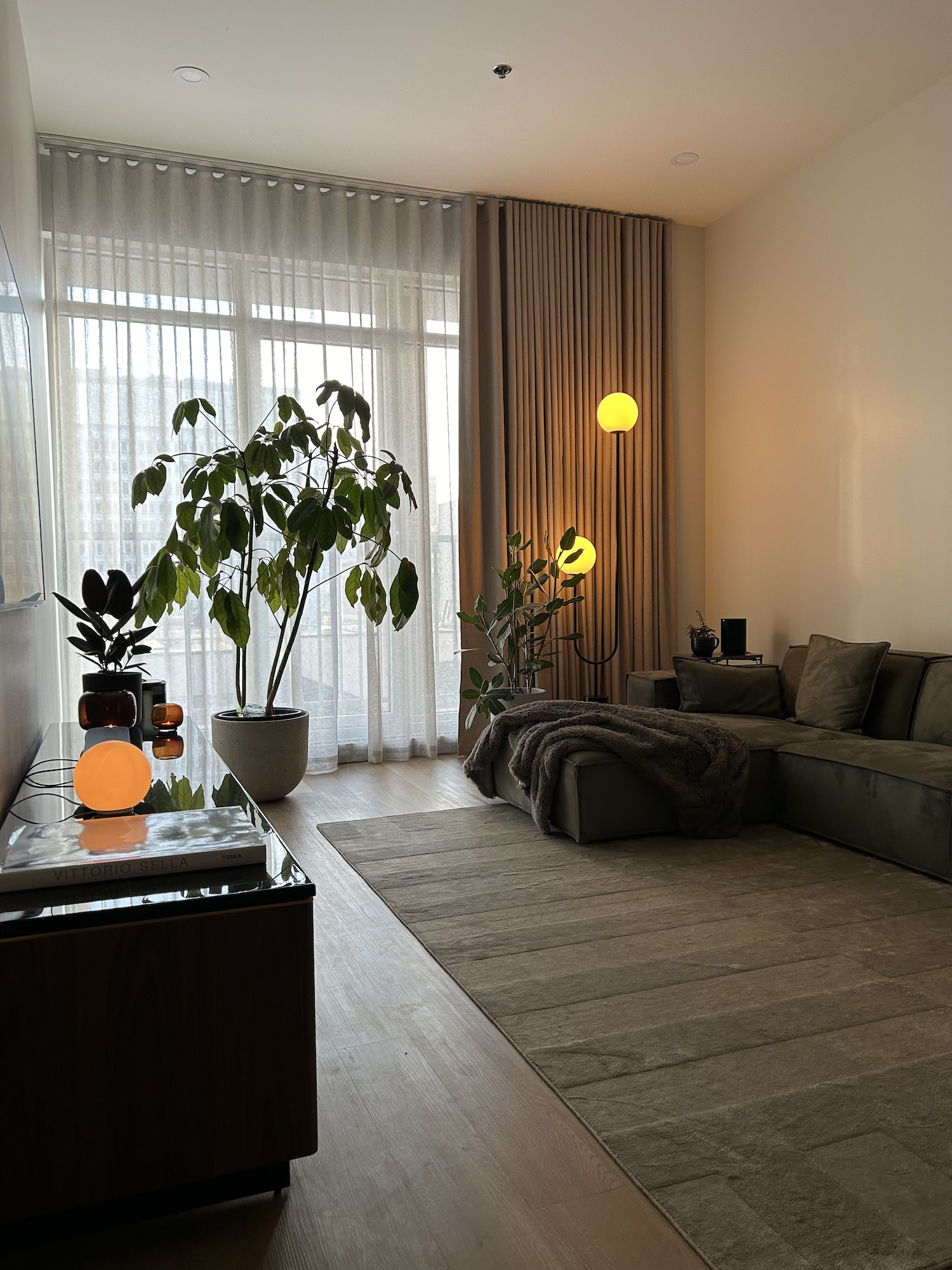 Modern living room with large potted plants near window, cozy sofa with blanket, decorative lamps, and a rug.