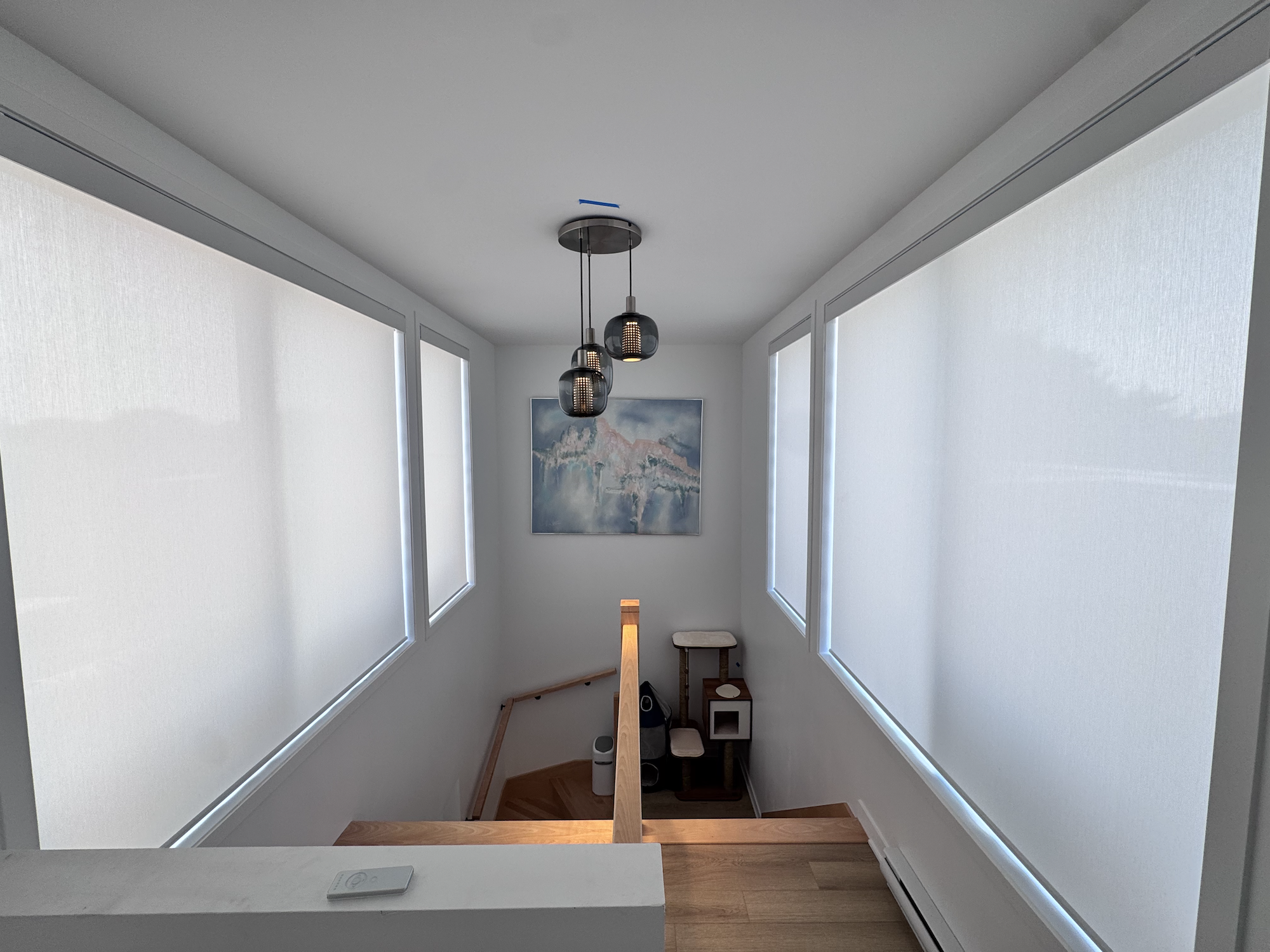 Roller Blinds - Solar.png