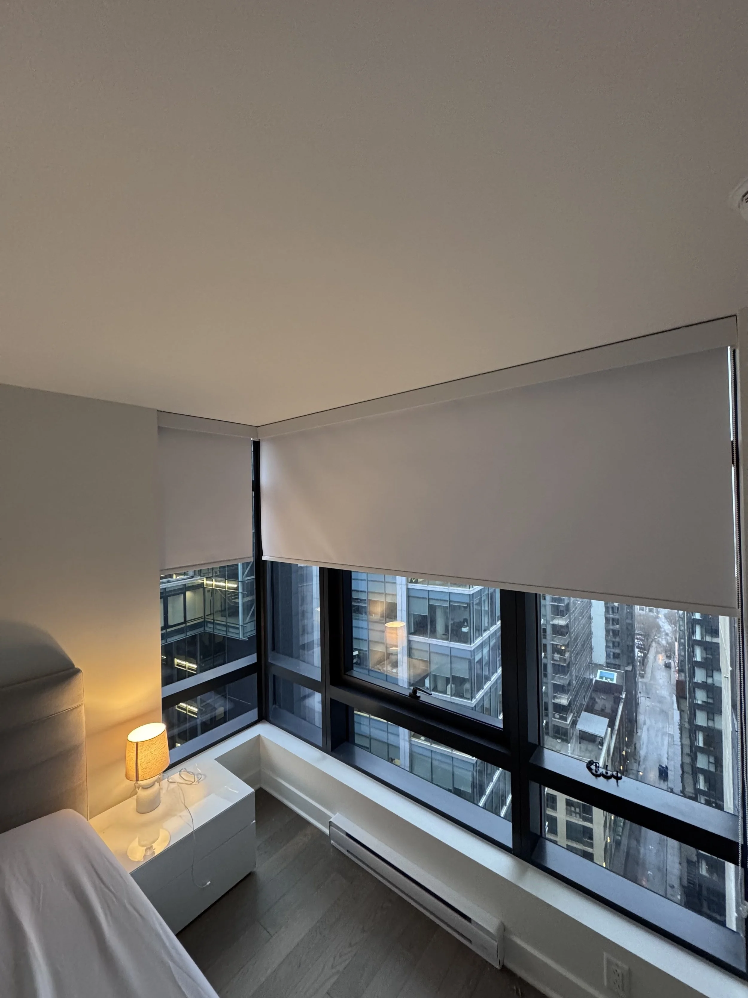 Roller Blinds Blackout 2.jpeg