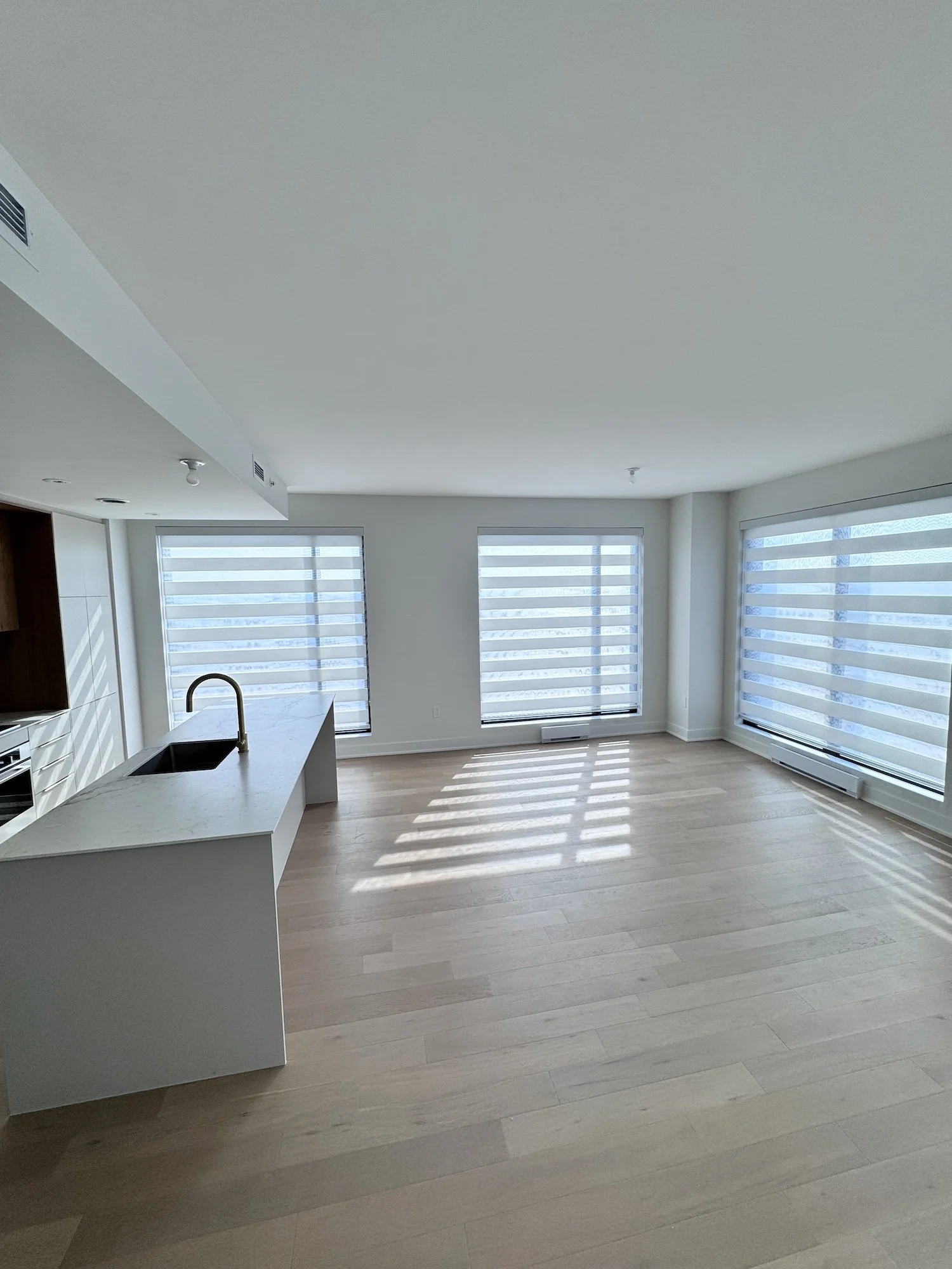 Zebra Blinds Light Filtering.jpg