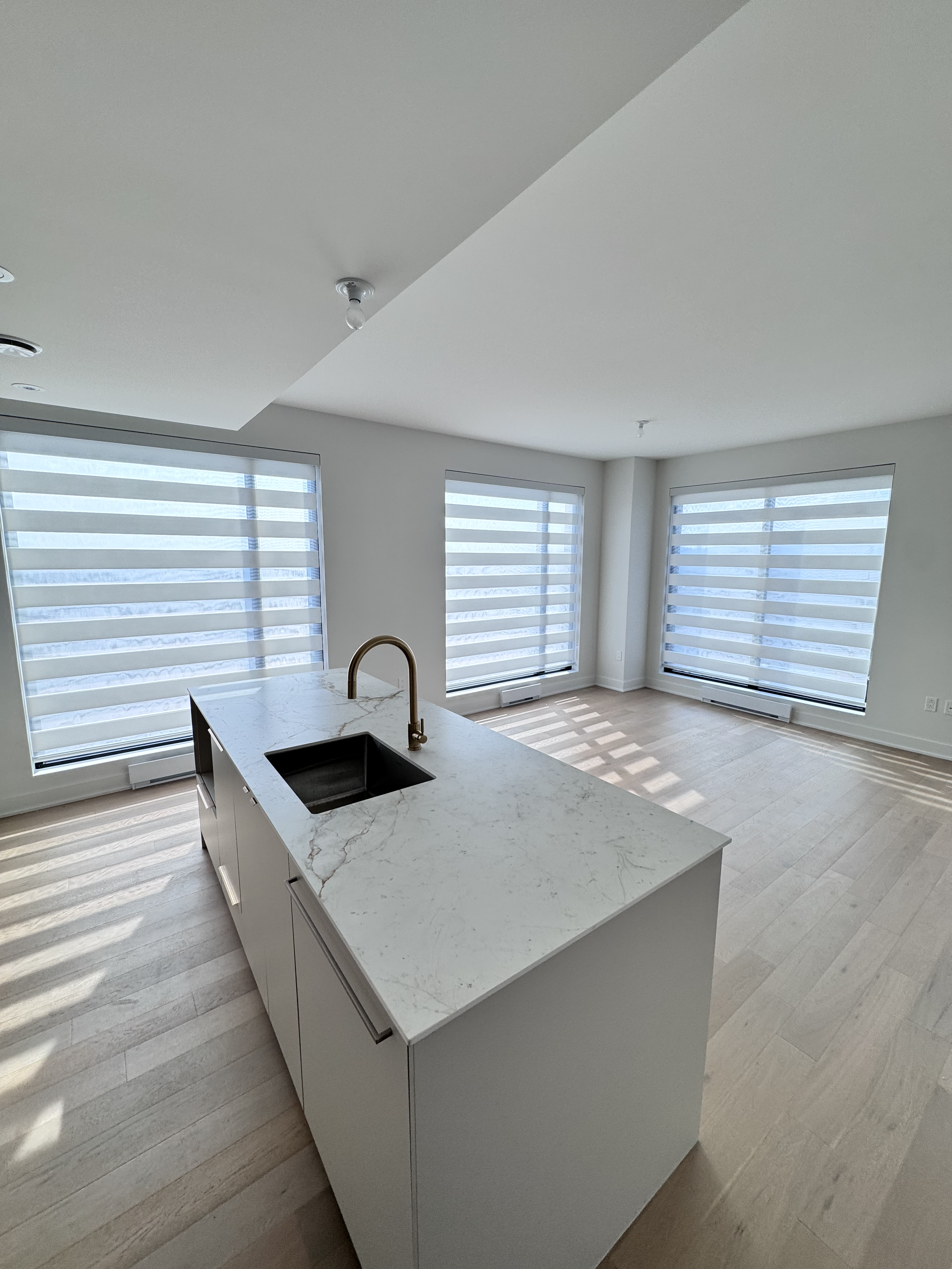 Zebra Blinds Light Filtering 3.png