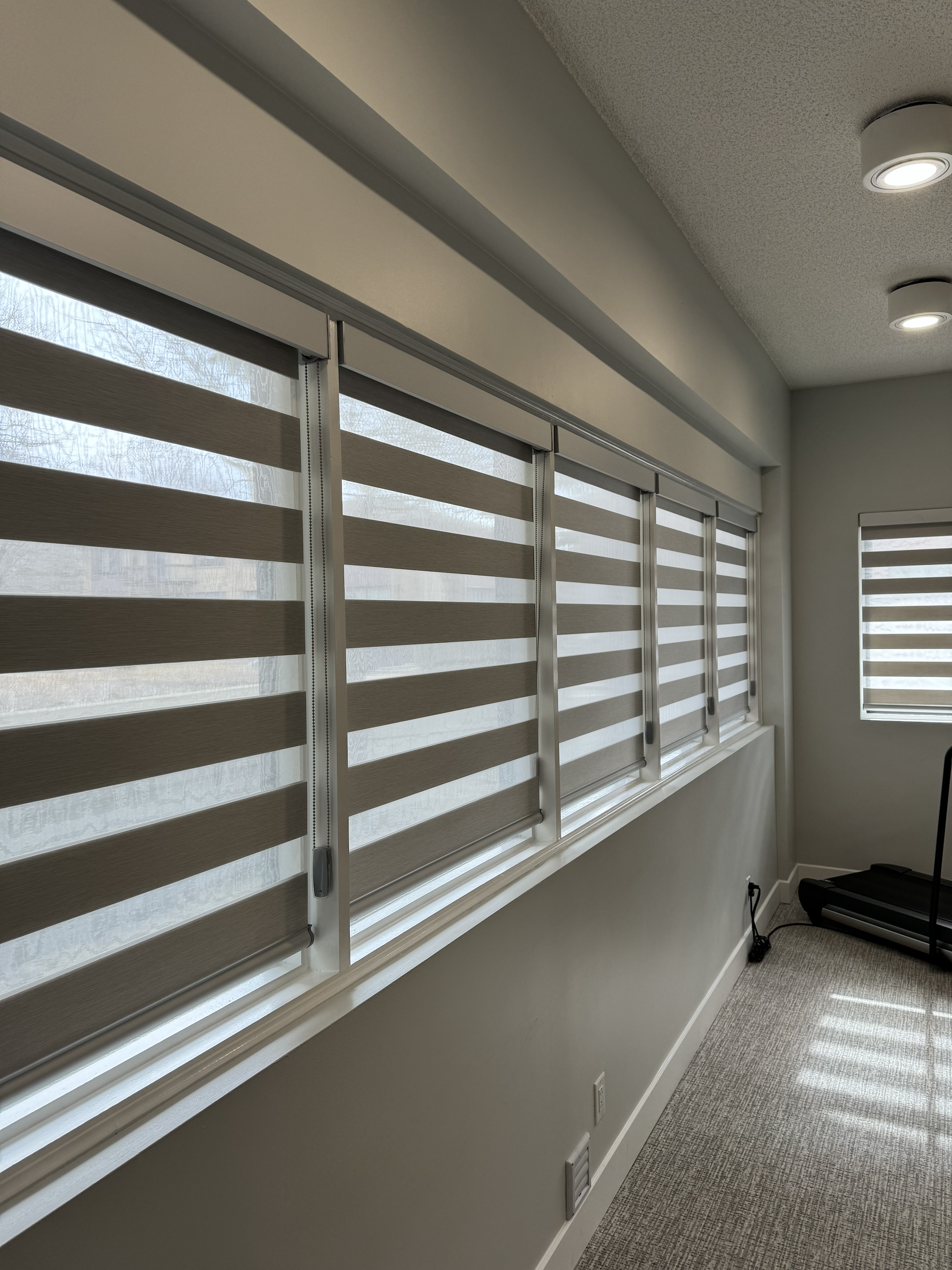 Room with horizontal zebra window blinds, recessed ceiling lights, and treadmill in the corner.