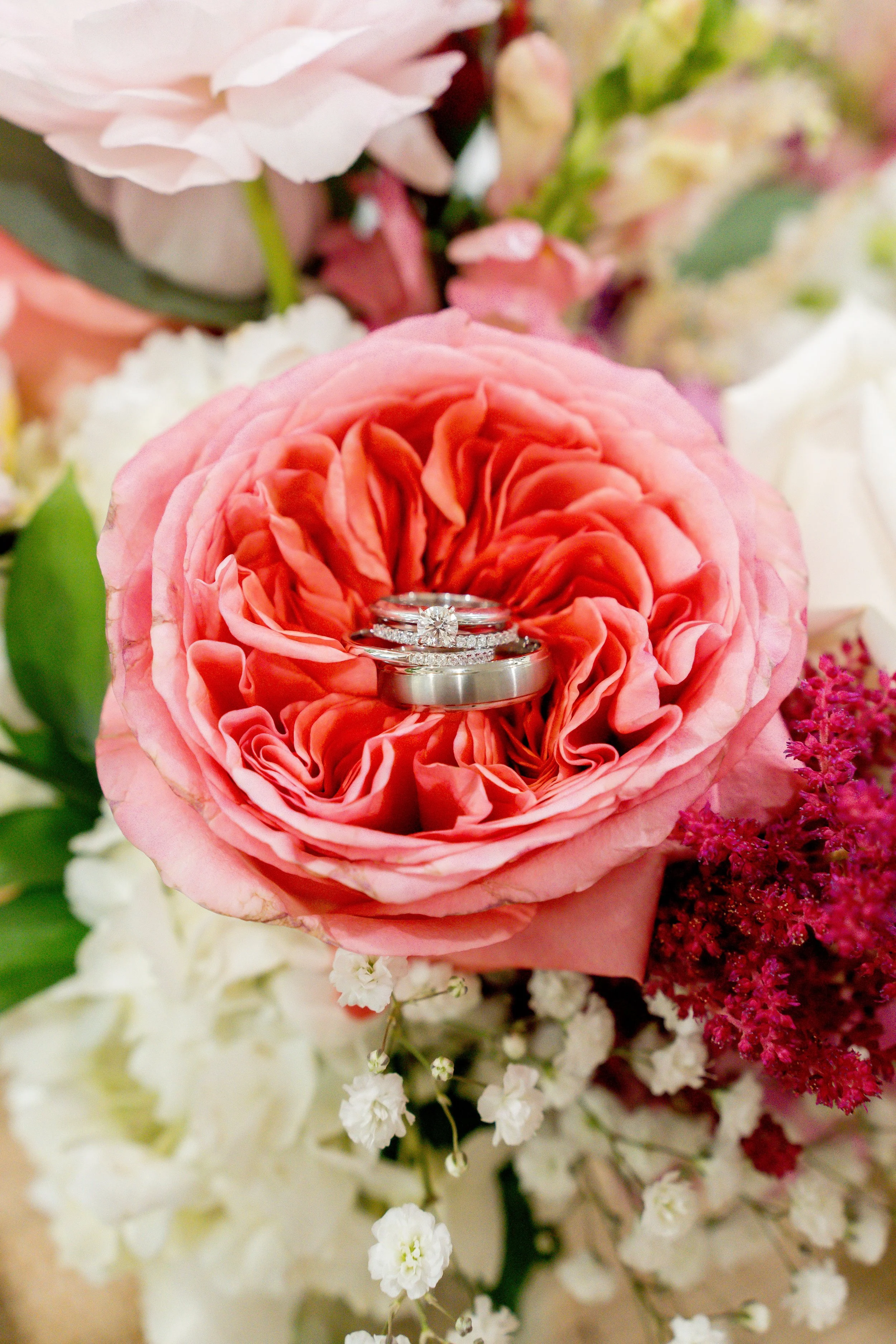 Close-up of a pink rose with wedding rings on top, surrounded by other pink, white, and purple flowers.