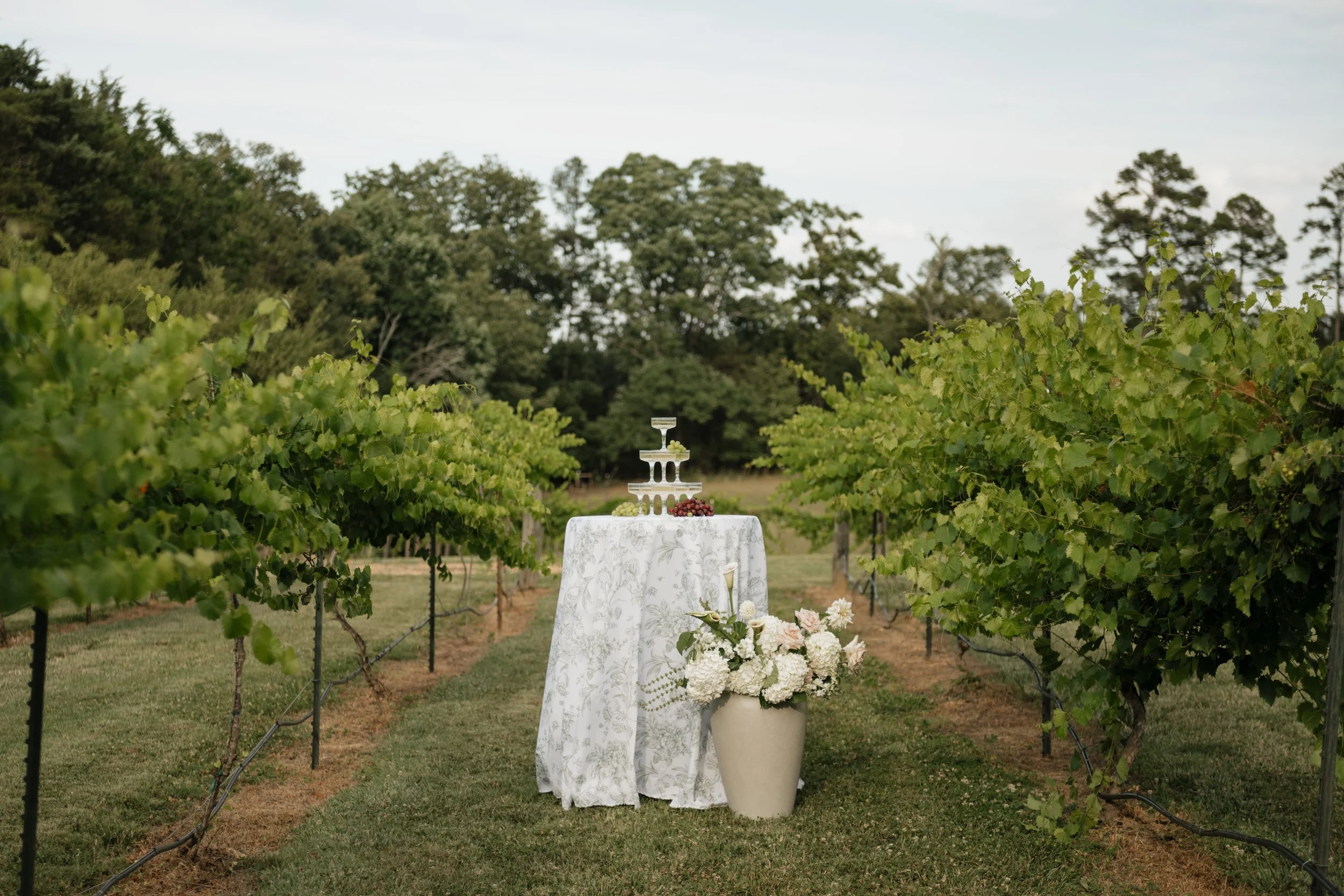 The Oak Ridge Homestead, a new wedding and event venue near Charlotte, NC in Stanly County with large white event tent, twinkle lights. English, European garden. Cocktail hour.