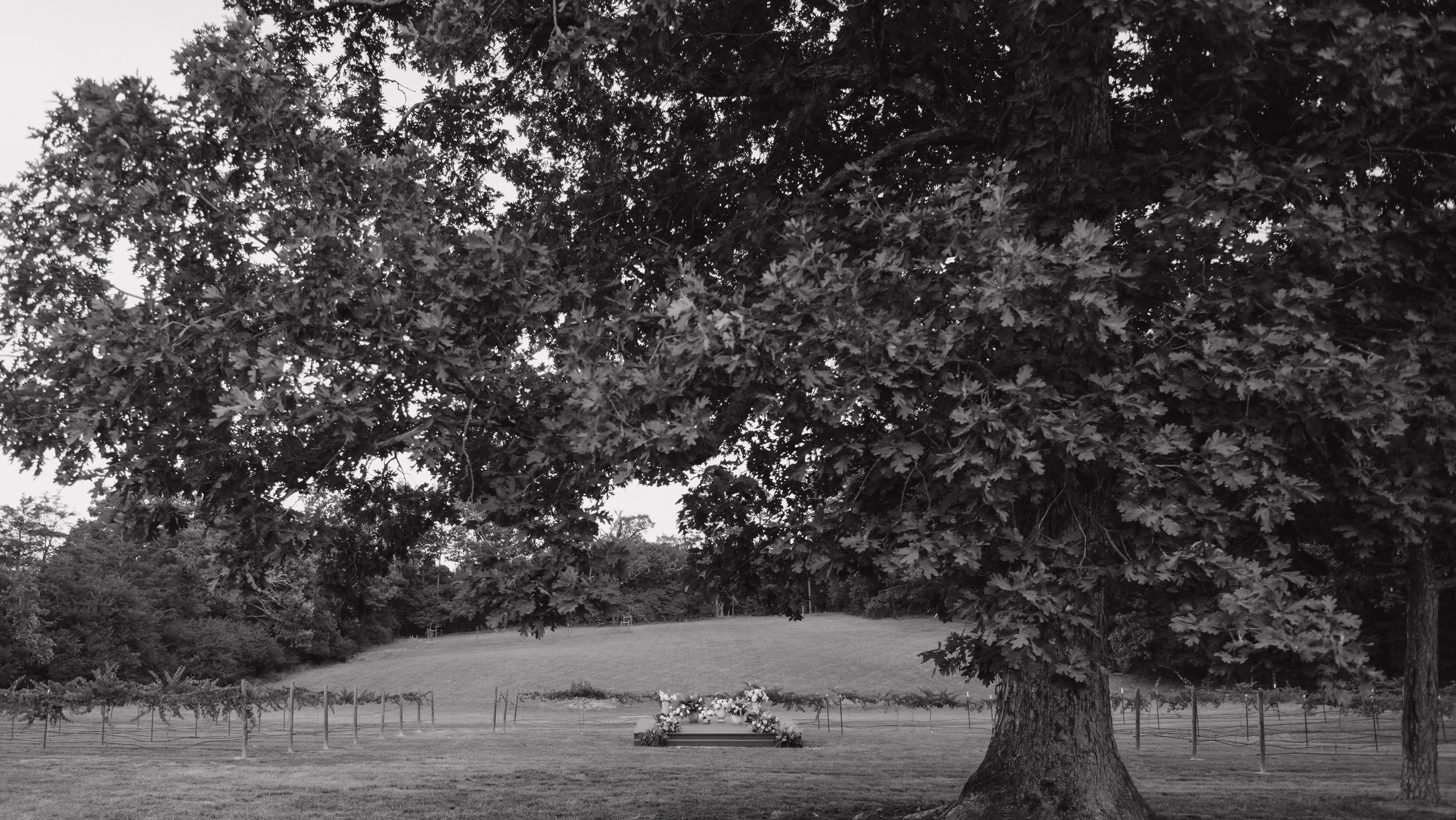 0176BW.jpg