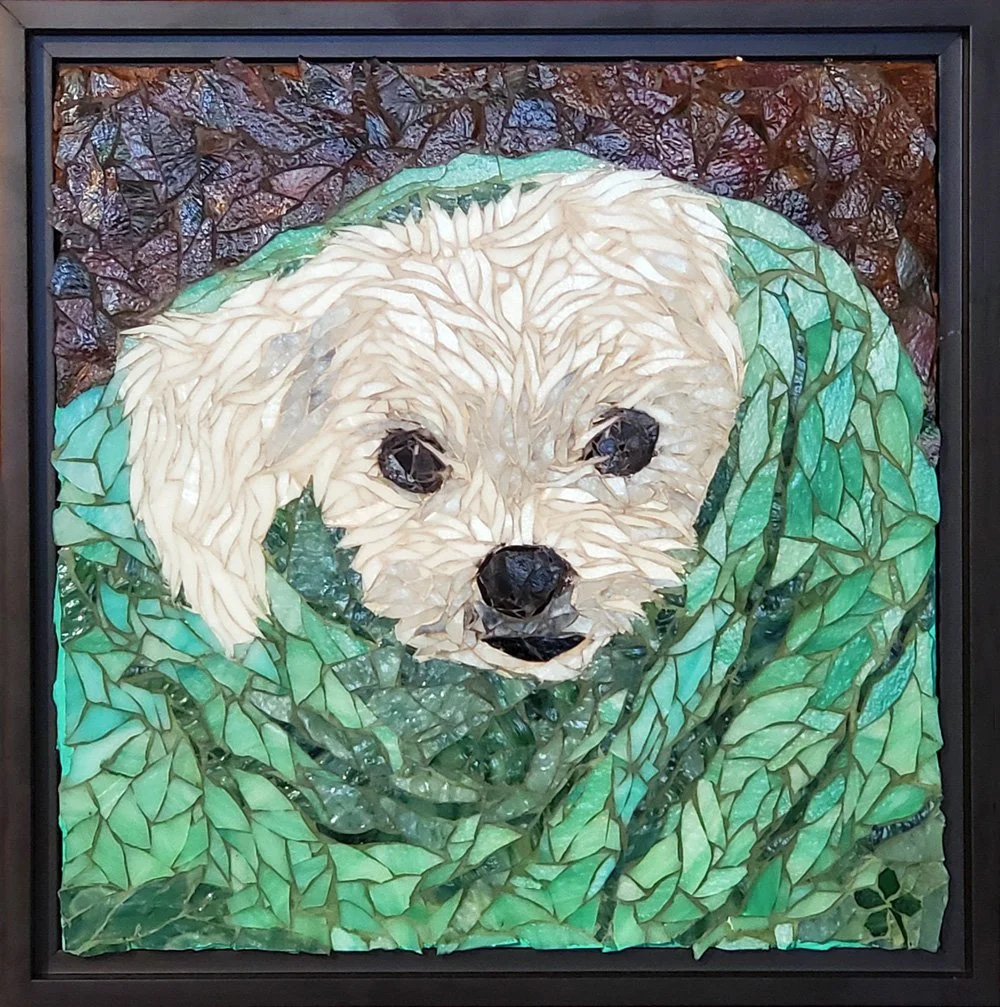 Wild-Clover-Mosaic-dog-portrait-10-opt-opt.jpg