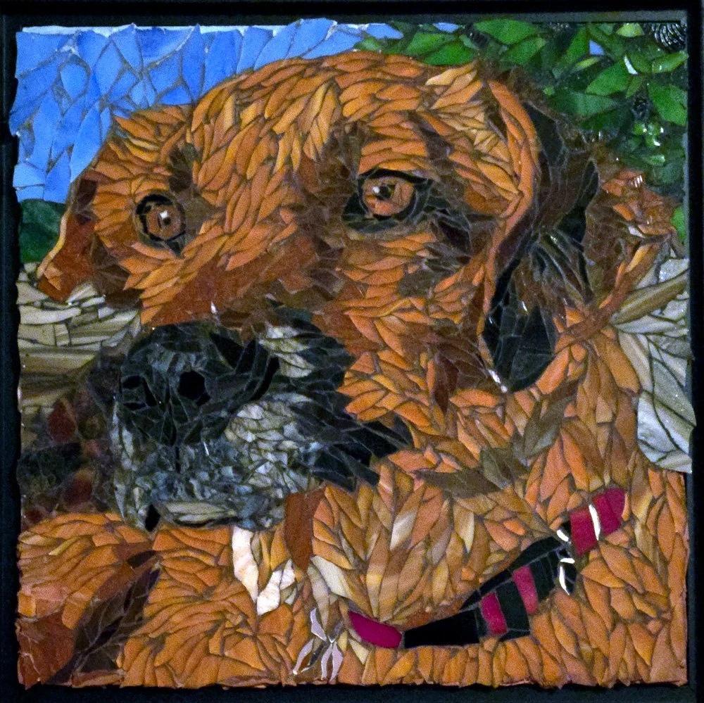 Wild-Clover-Mosaic-dog-portrait-8-opt-opt.jpg