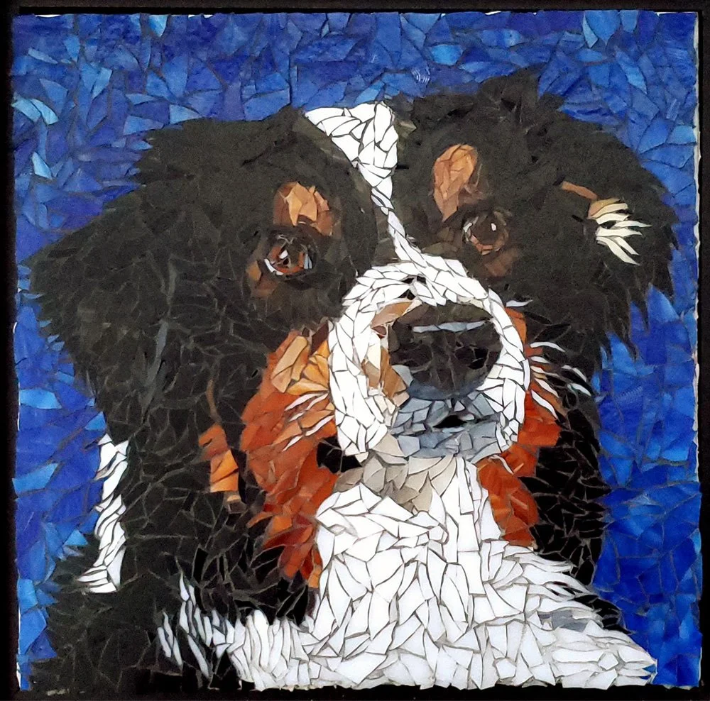 Wild-Clover-Mosaic-dog-portrait-13-opt.jpg