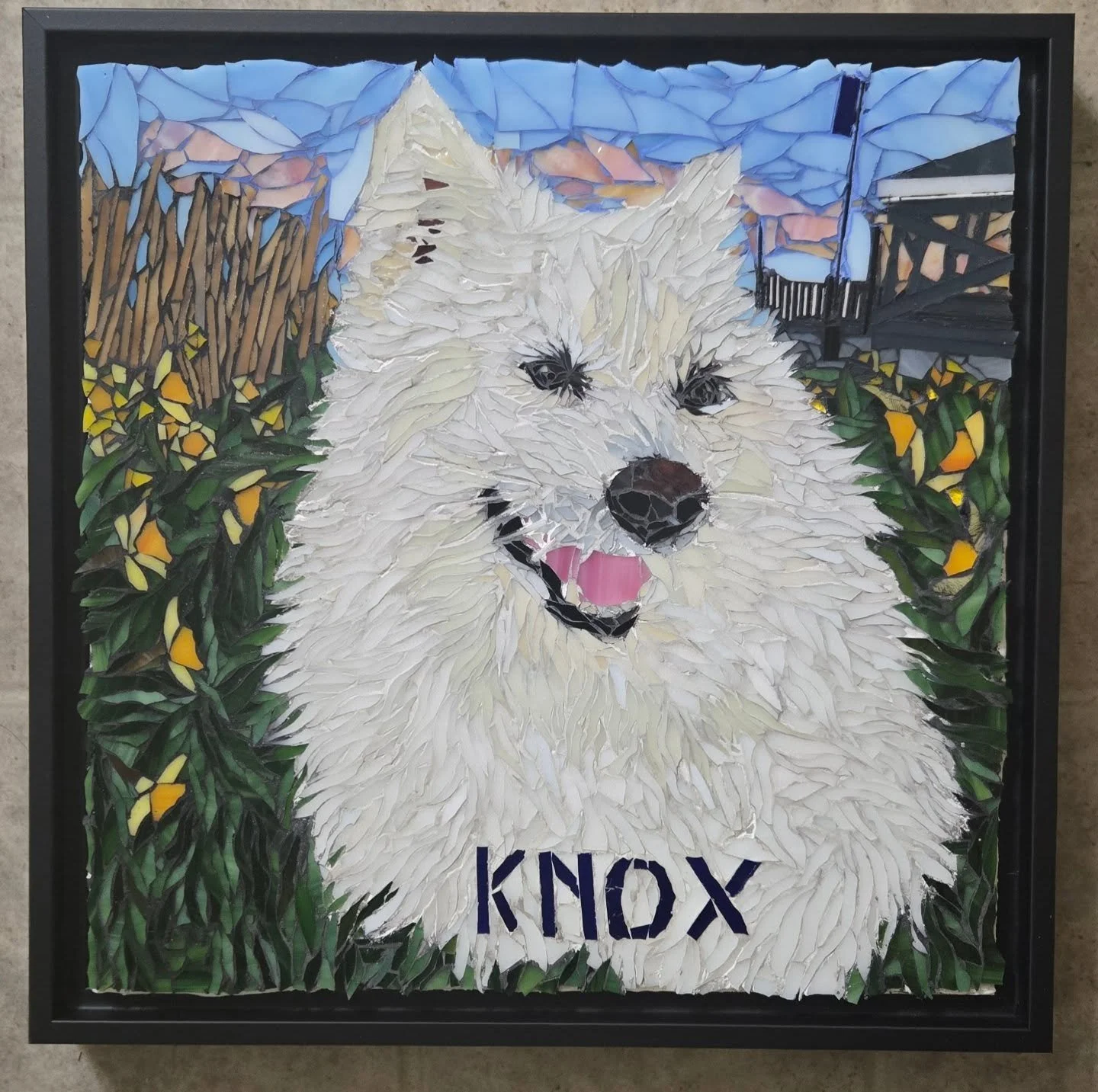 I wanted to introduce you all to Knox my latest pet portrait.  This beautiful Samoyed challenged me with so many different shades of white.  He has such a sweet face.

Also a couple Moss pictures - he was very disappointed that the big box only conta