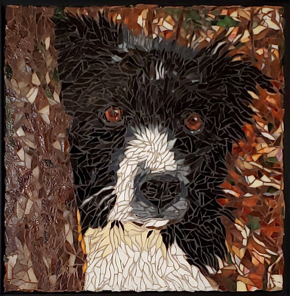 Wild-Clover-Mosaic-dog-portrait-12-opt.jpg