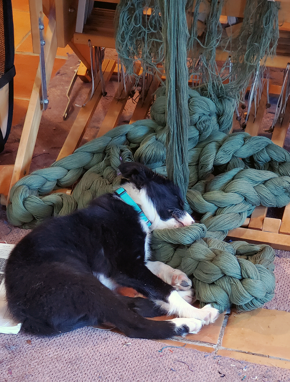 Baby Moss on weaving yarn