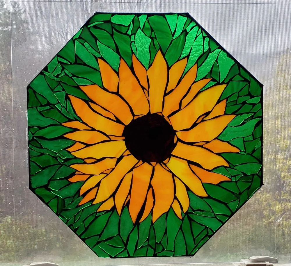 Wild-Clover-Mosaic-sunflower-in-window-opt.jpg
