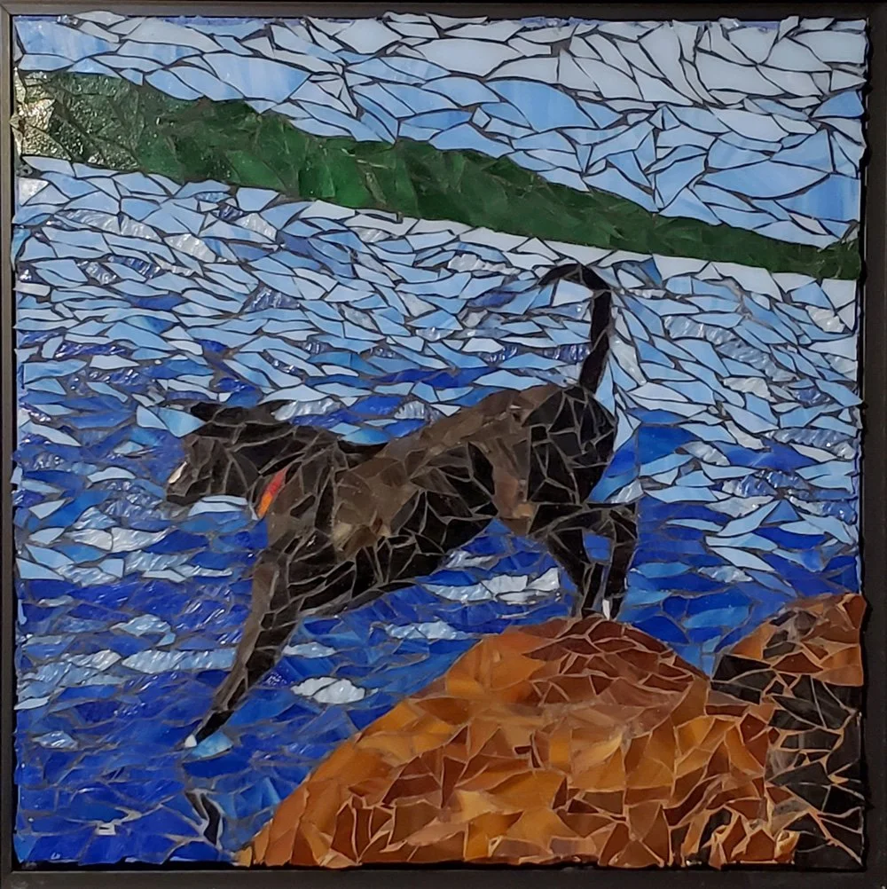 Wild-Clover-Mosaic-dog-portrait-5-opt.jpg