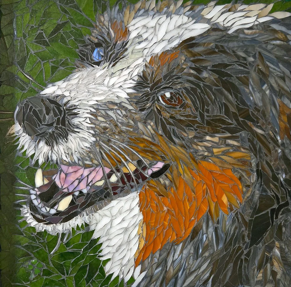 Pet-Portrait-Mosaic-Karen-Wheeler-opt.jpg