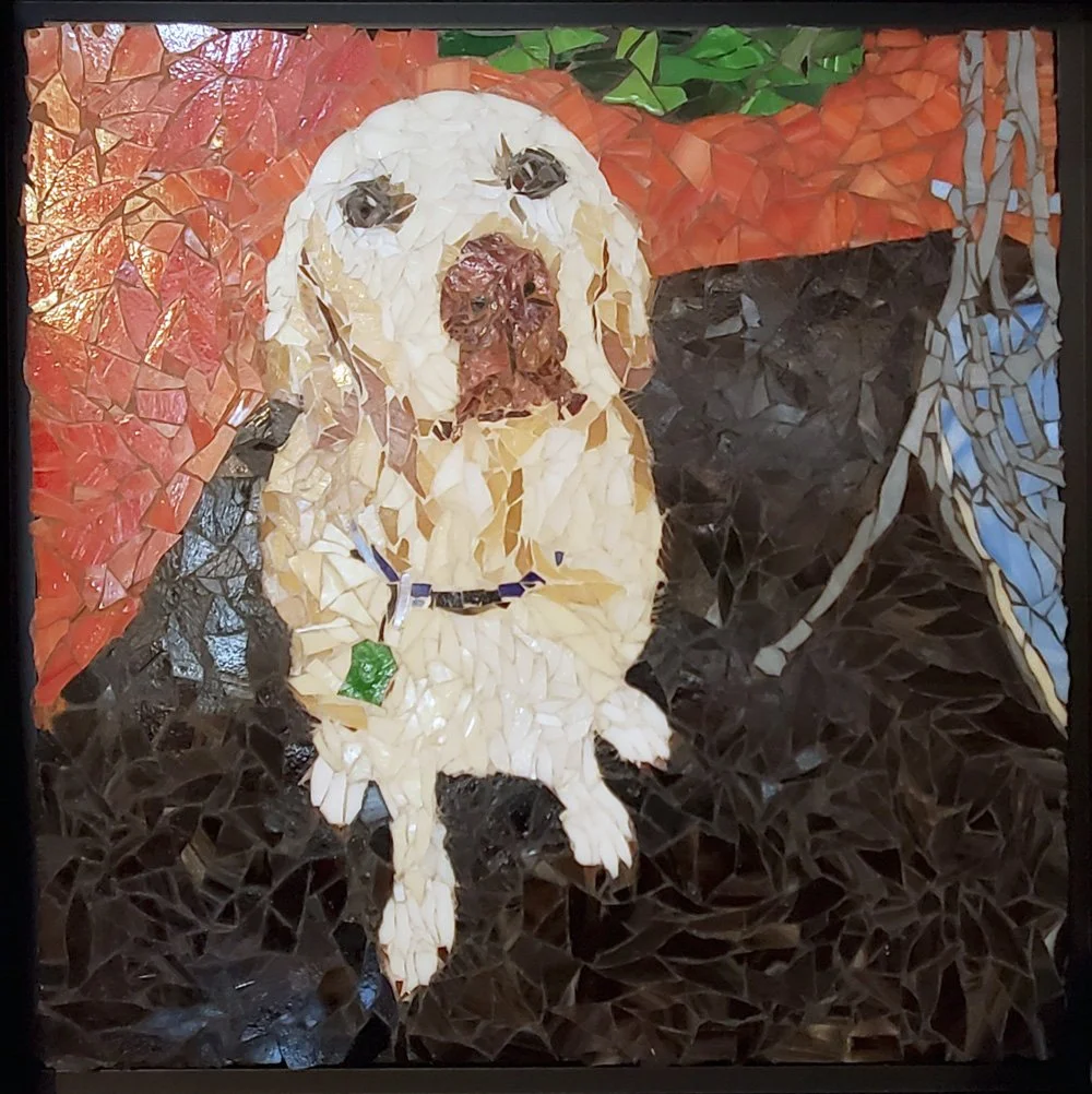 Wild-Clover-Mosaic-dog-portrait-11-opt-opt.jpg