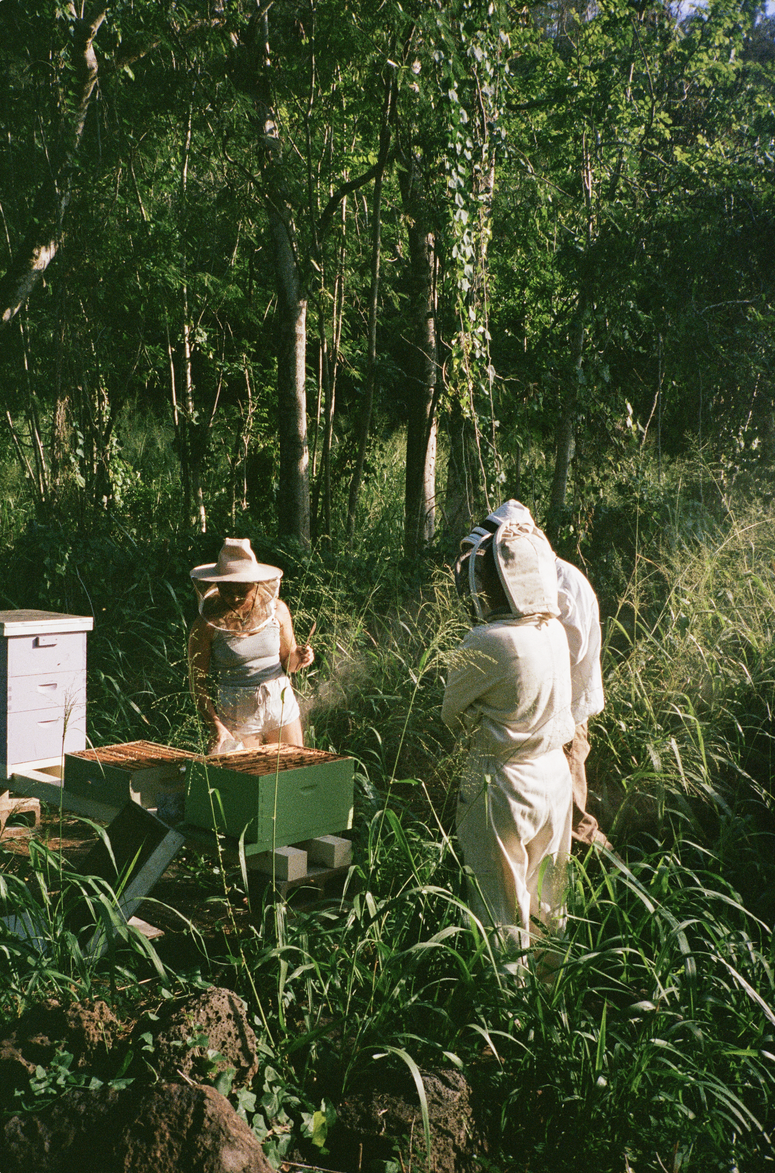 Screenshot 2026-03-13 at 11.12.46 AM.png