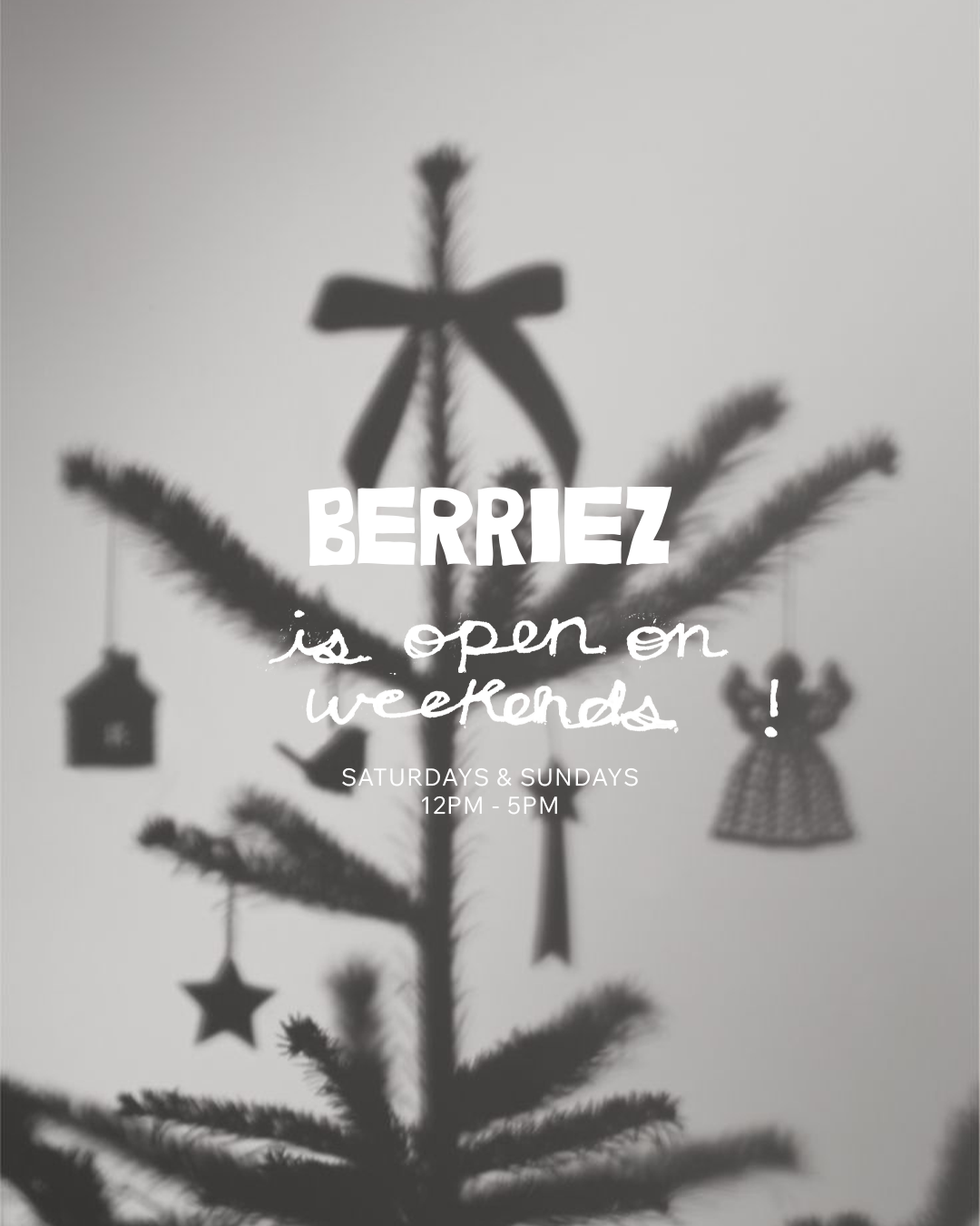 12.18 OPEN ON WEEKENDS 2.png