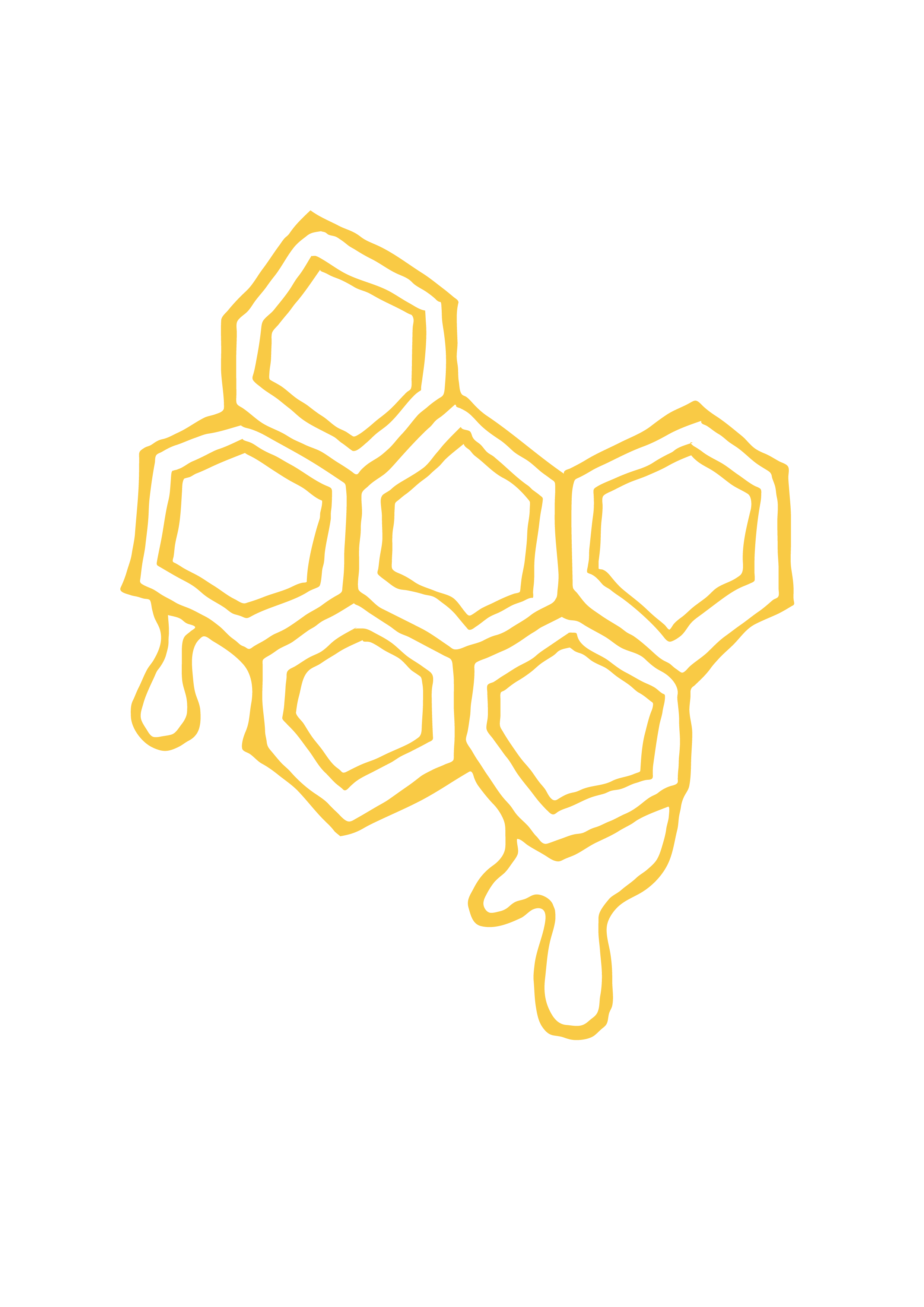 ILLUSTRATIONS_HONEYCOMB COLOR.png