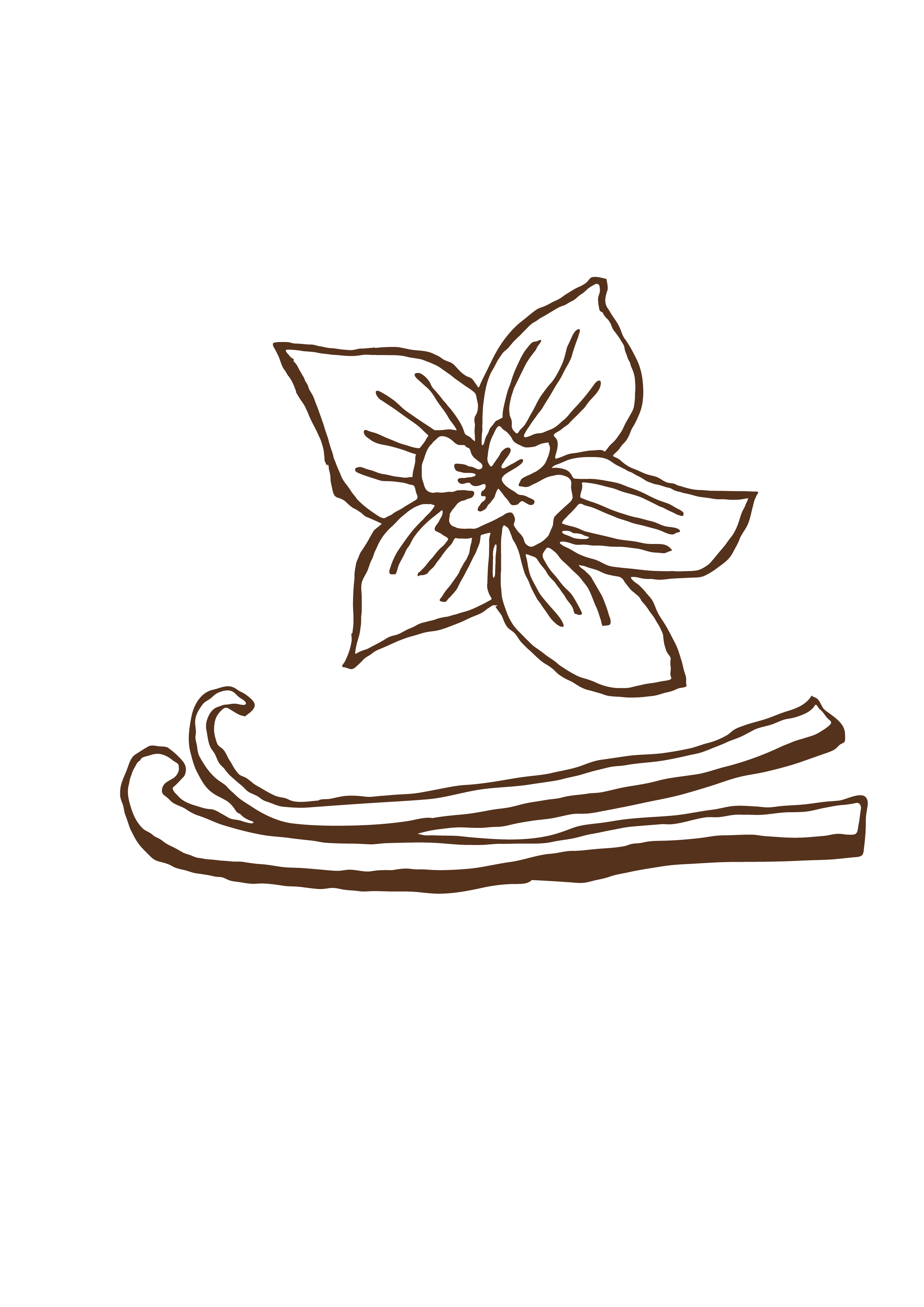 ILLUSTRATIONS_VANILLA COLOR.png