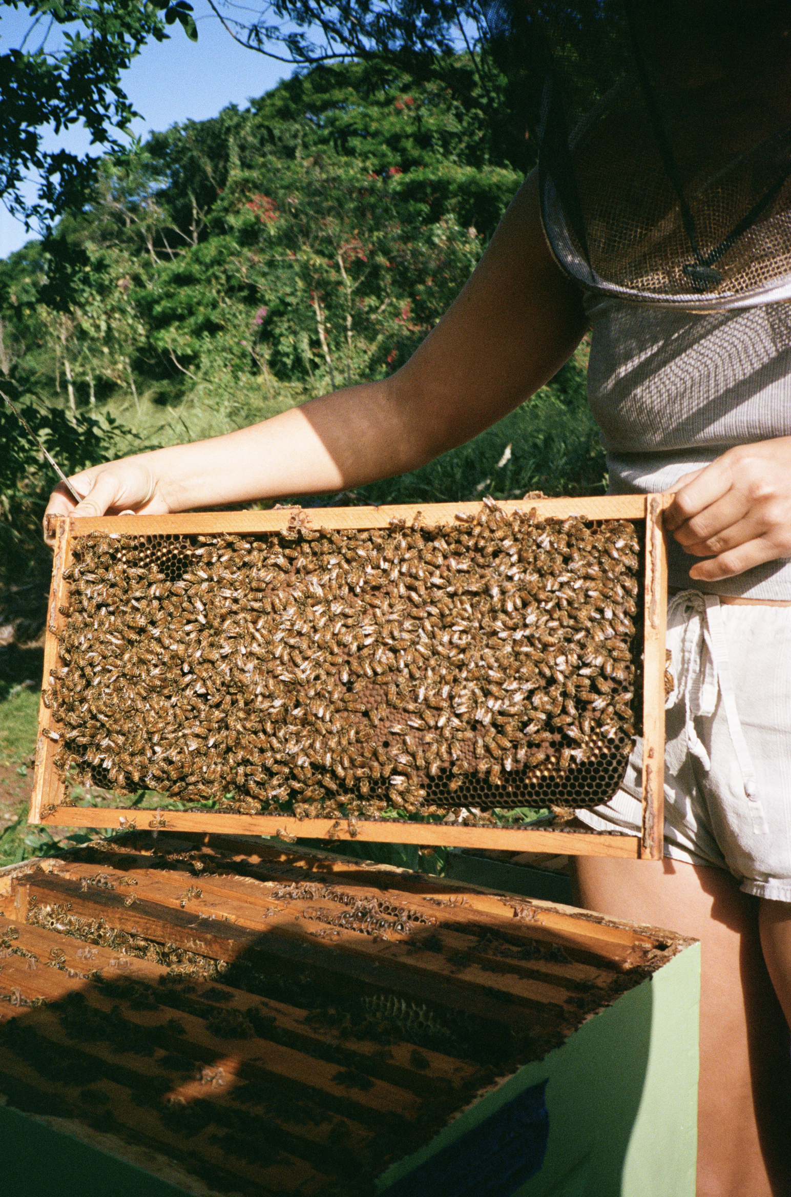 Screenshot 2026-03-13 at 11.12.32 AM.png