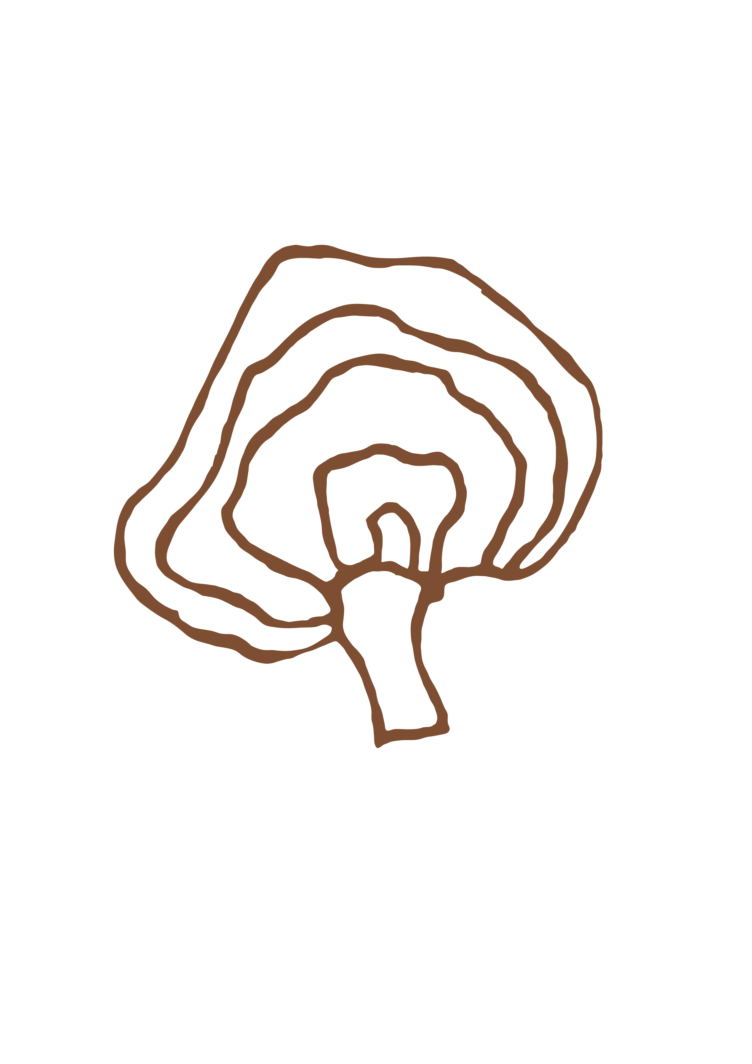 ILLUSTRATIONS_REISHI COLOR.png