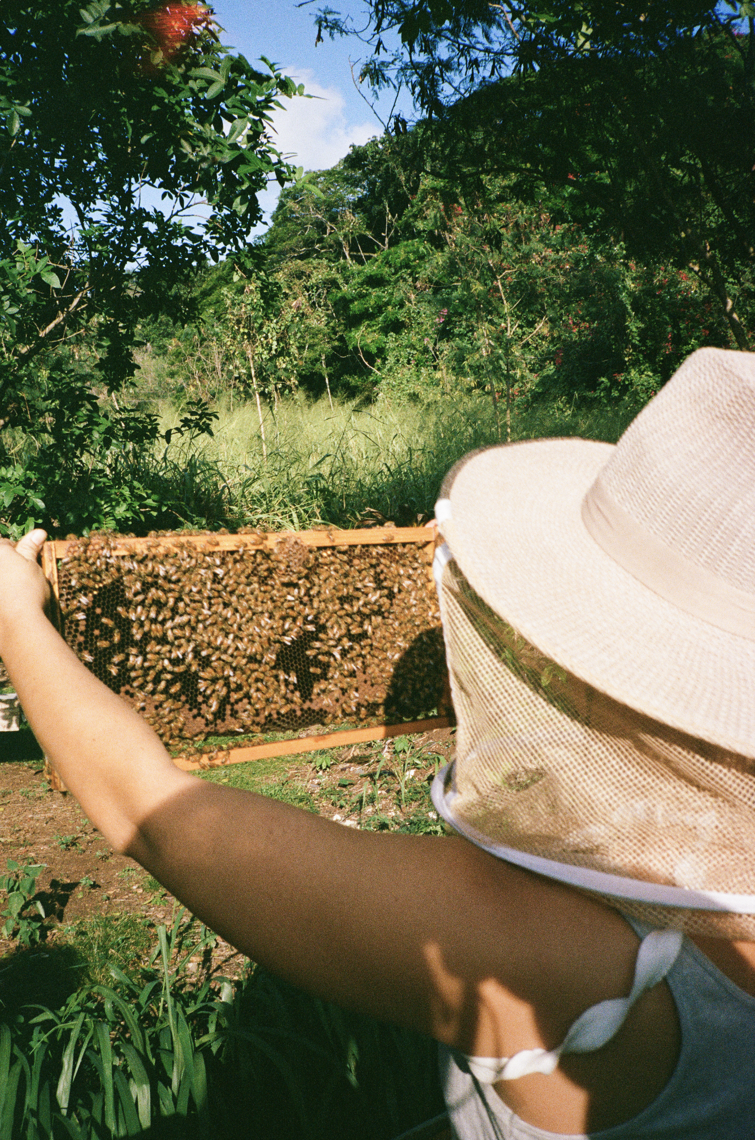 Screenshot 2026-03-13 at 11.12.05 AM.png