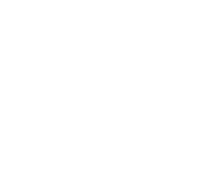 Agent K PC Services