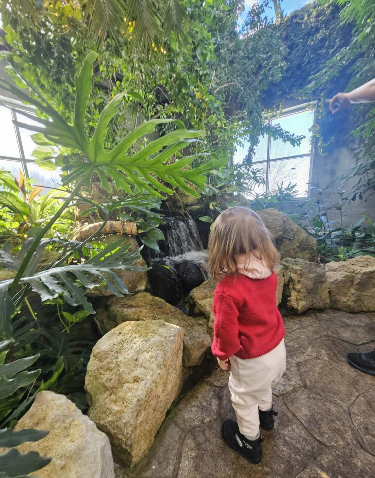🦋 Escape Into Nature: Visiting the Cambridge Butterfly Conservatory