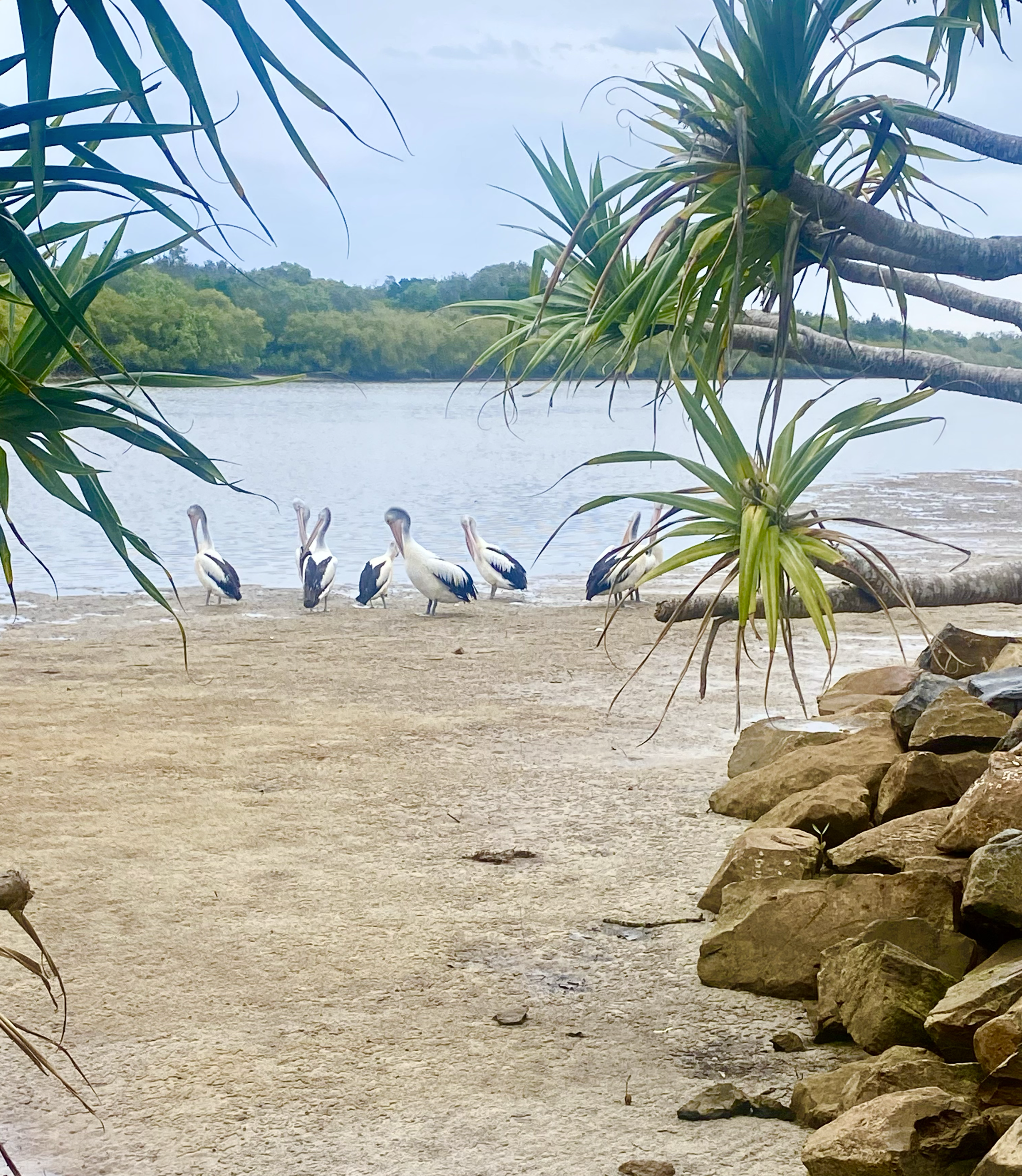 Screenshot 2025-10-21 at 2.52.09 pm.png