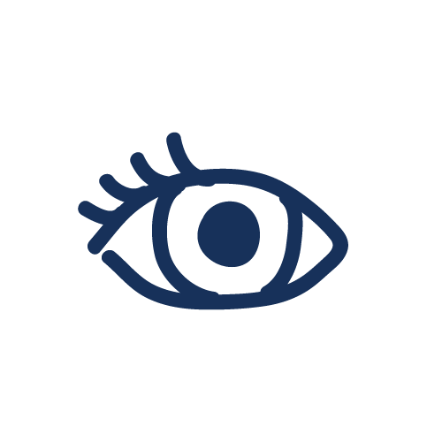 Eye Icon