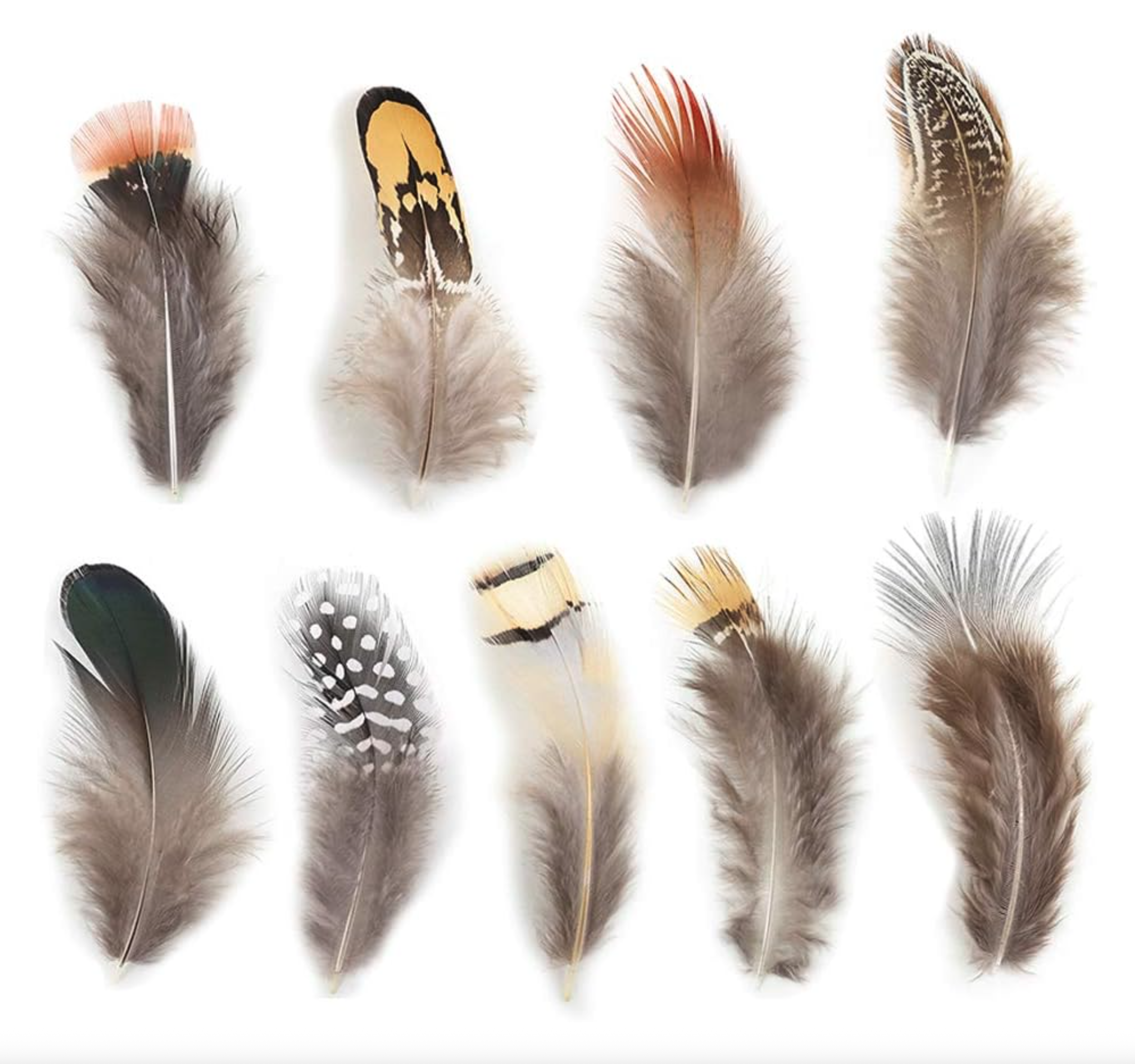 180pcs 9 Styled Natural Feathers Assorted Mixed Feathers for Jewelry and Dream Catcher Crafts