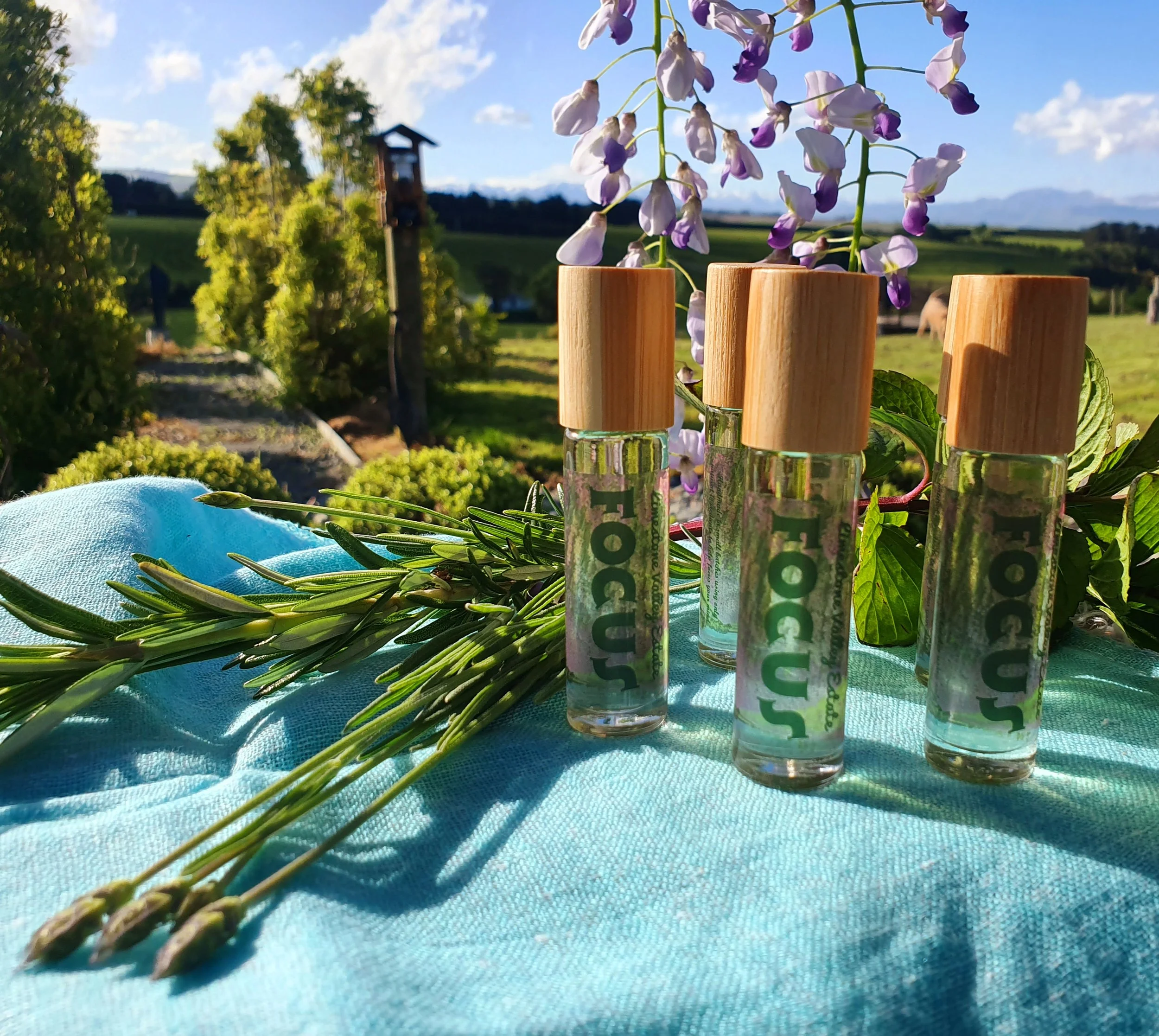 FOCUS Pulse Point Roll-On