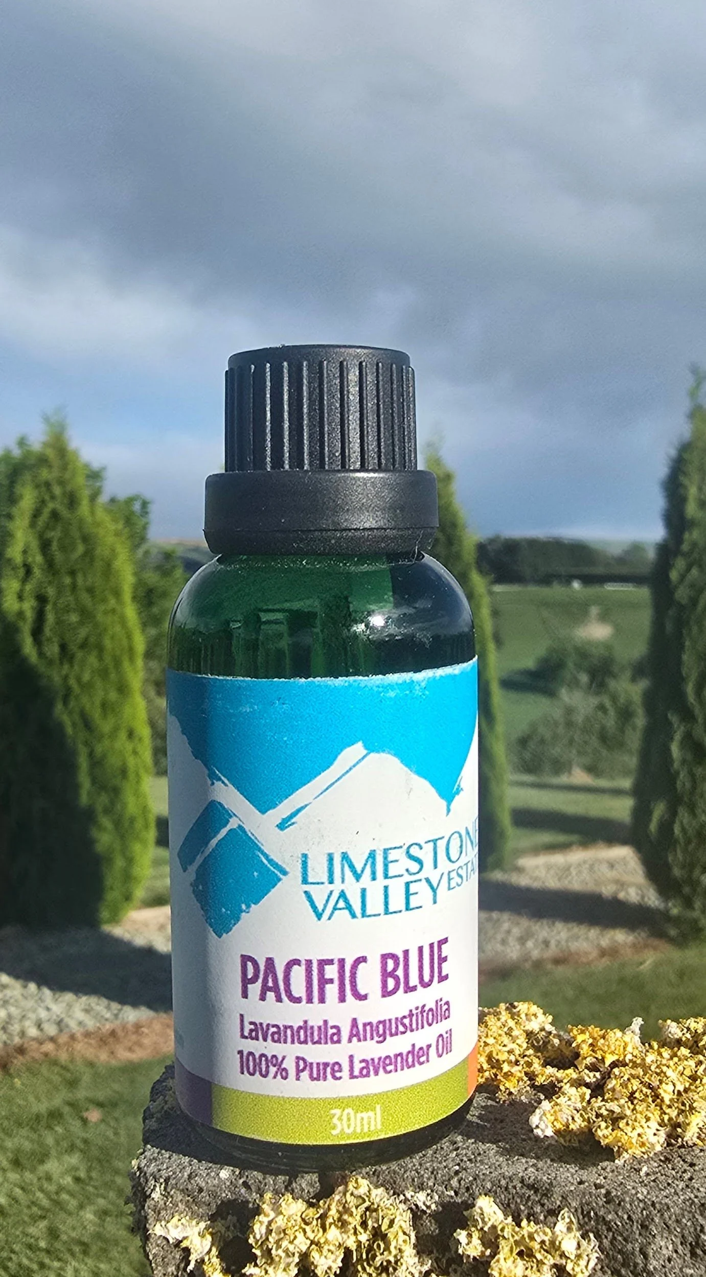 Pacific Blue Lavender Essential Oil 30ml